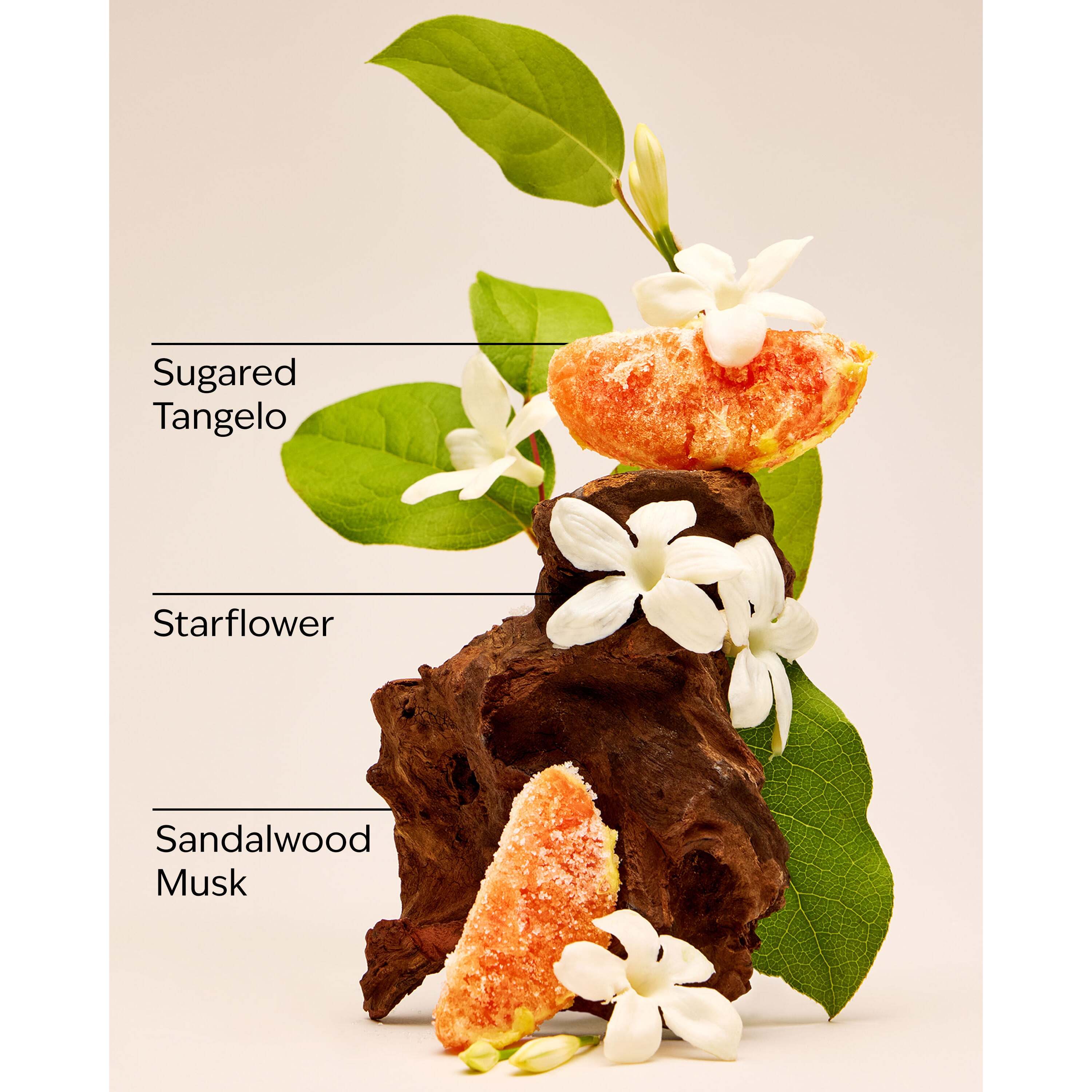 In The Stars Mini Gift Set - Image 3