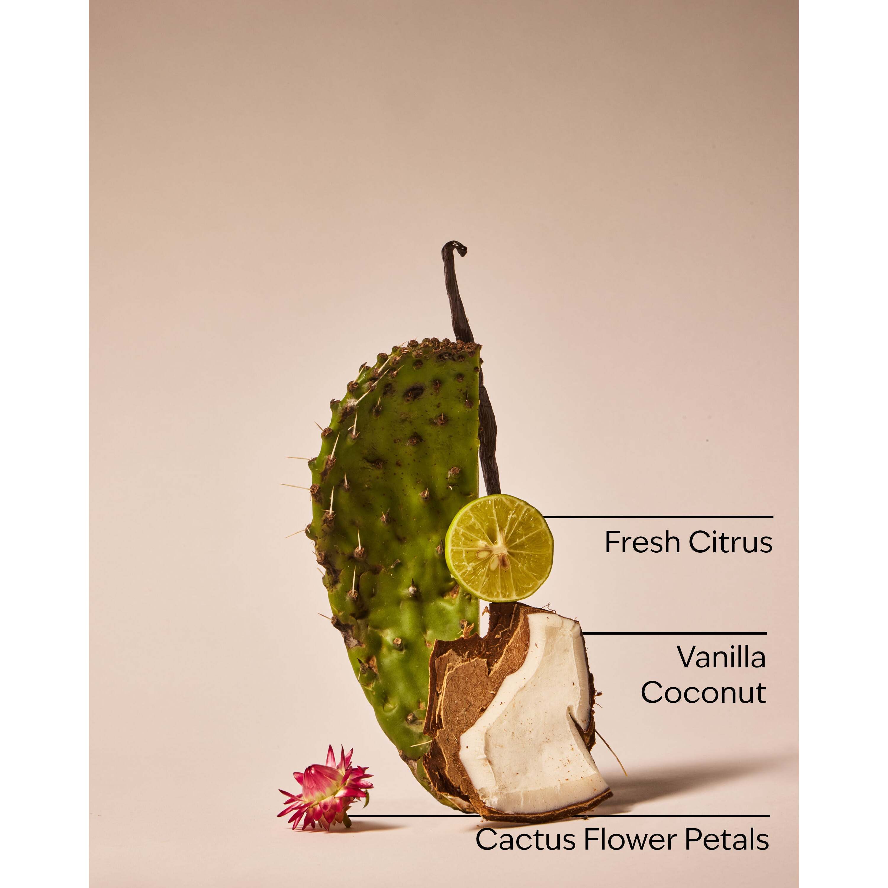 Cactus Blossom Fragrance Booster - Image 3