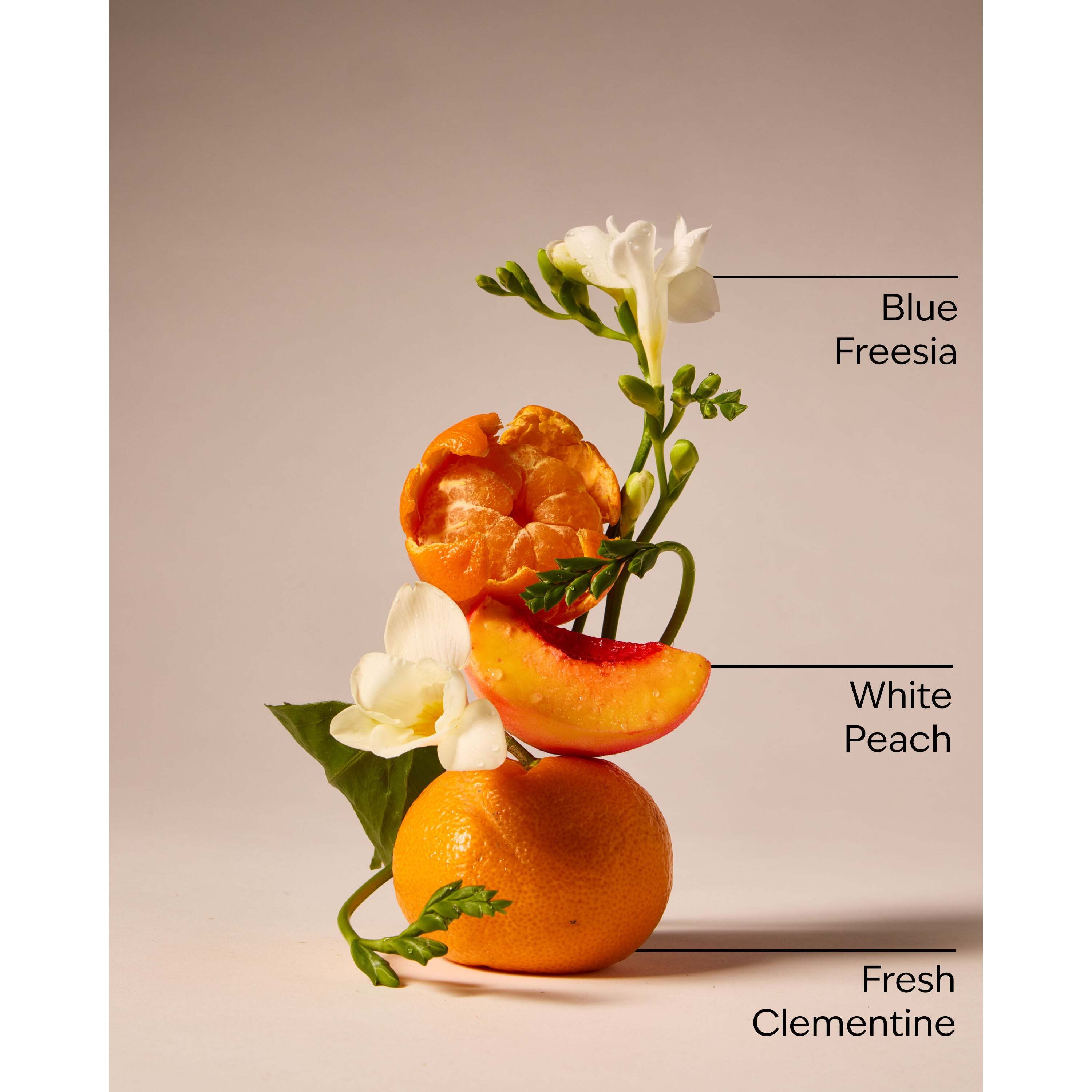 Gingham Daily Nourishing Body Lotion - Image 3