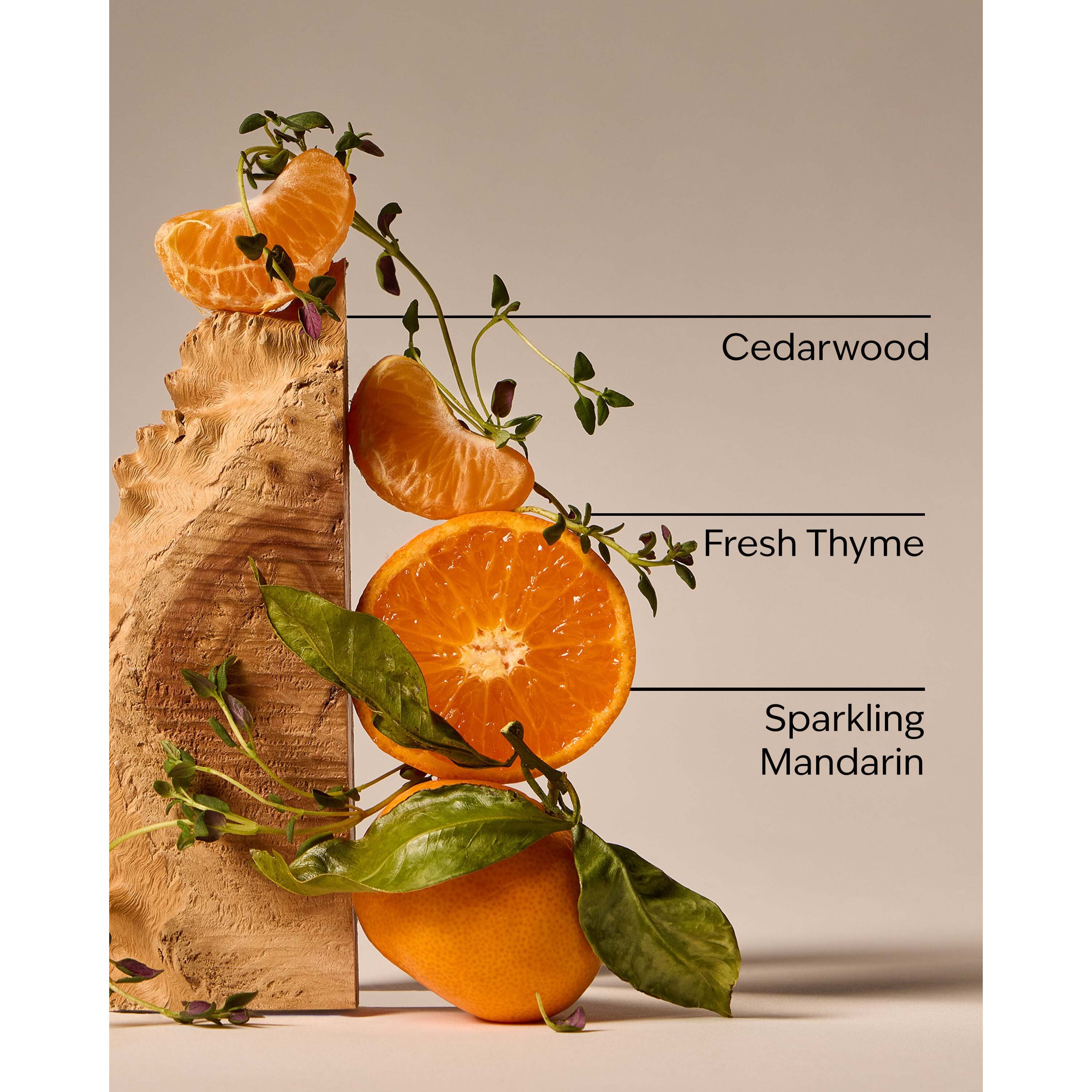 Kitchen Mandarin Gentle & Clean Foaming Hand Soap - Image 3