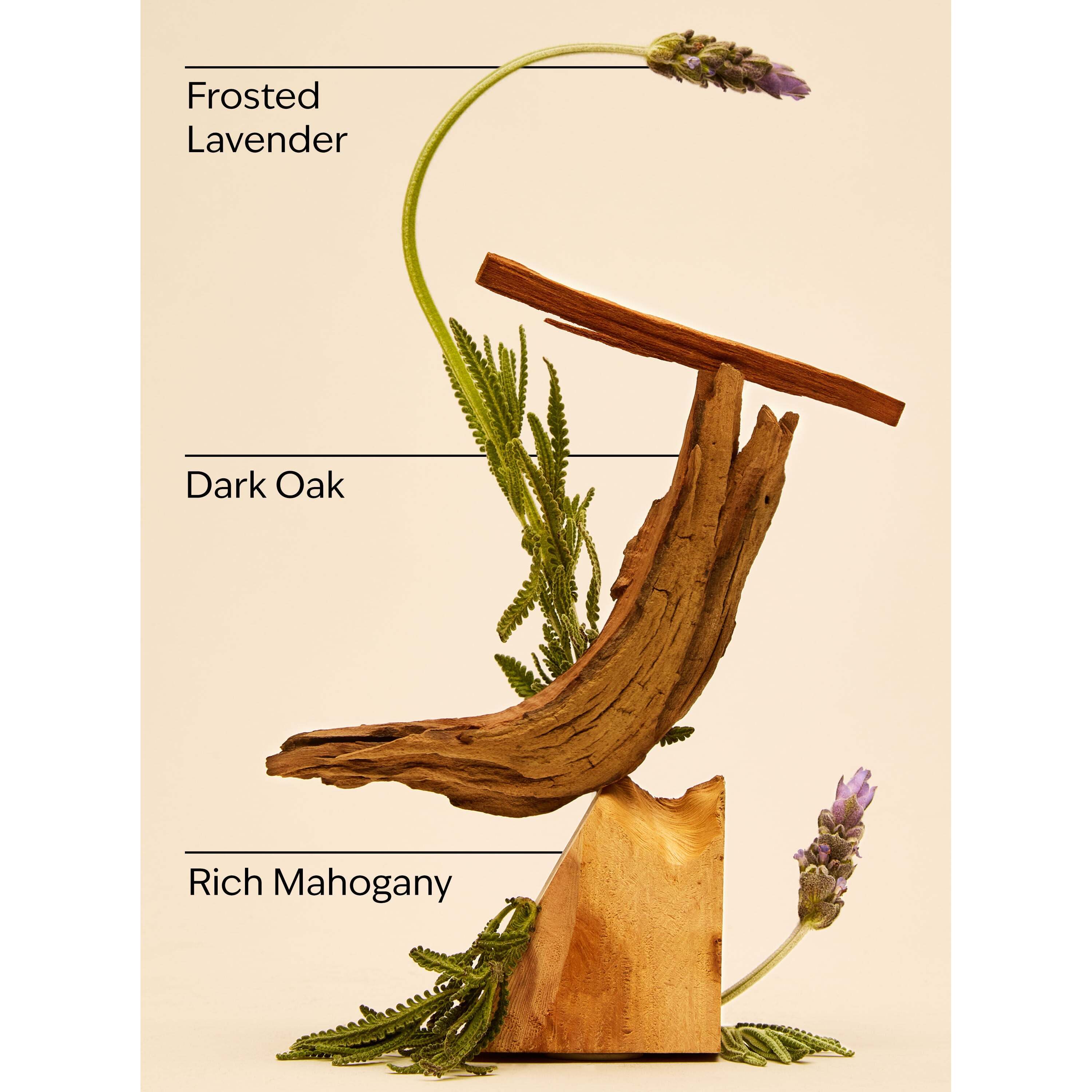 Mahogany Teakwood Gentle & Clean Foaming Hand Soap - Image 3