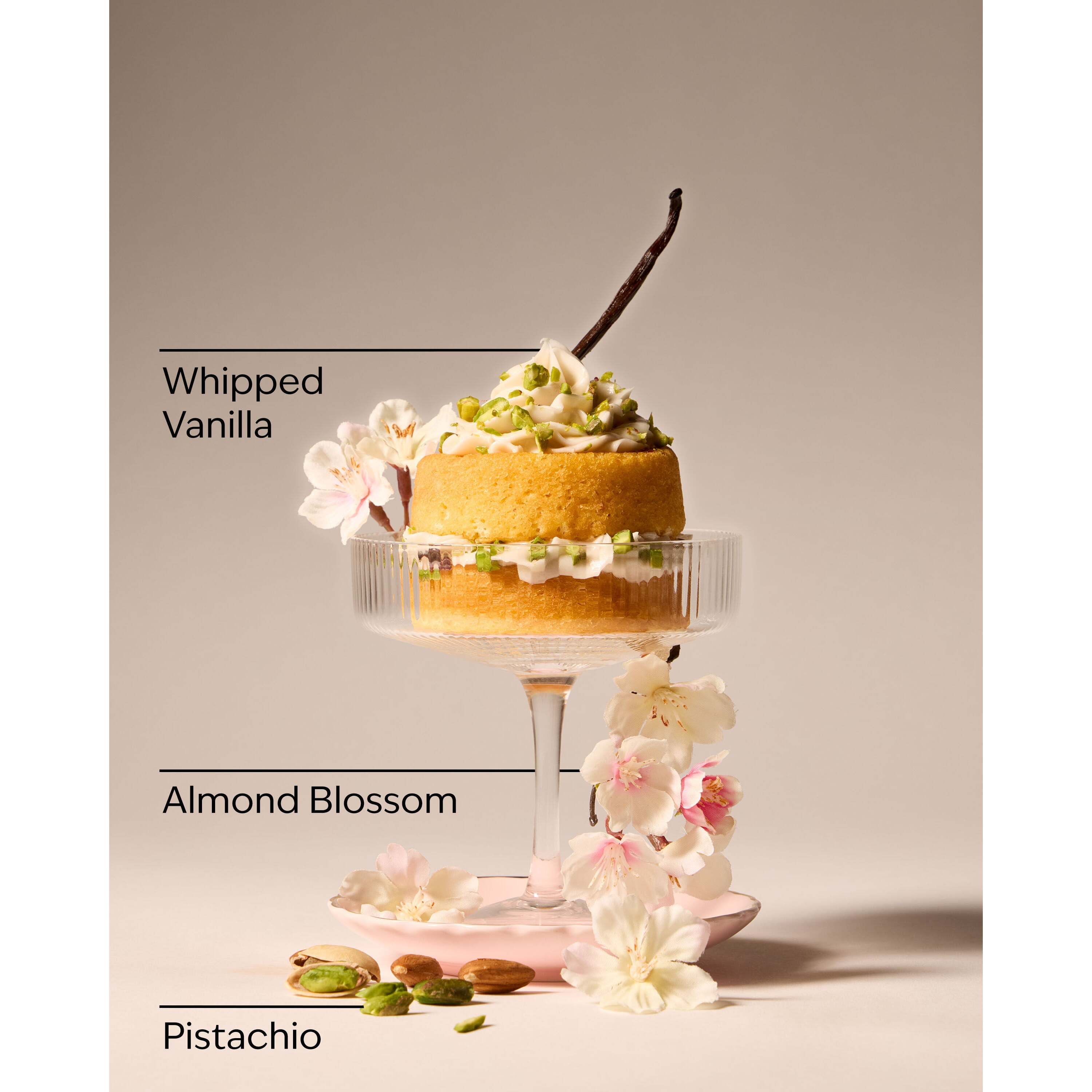 Toasted Pistachio Travel Size Fine Fragrance Mist - Image 3