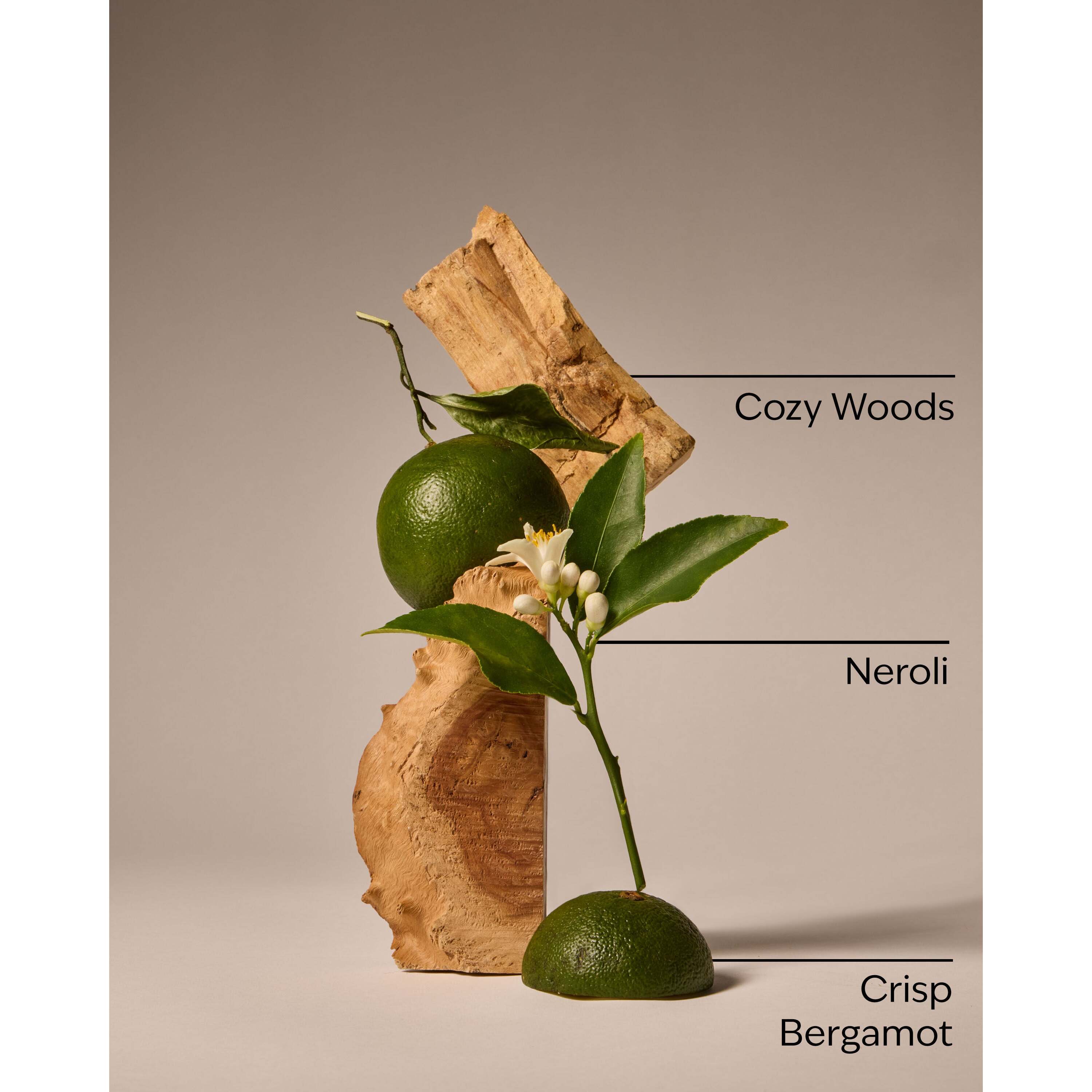 Book Loft Wallflowers Fragrance Refill - Image 3