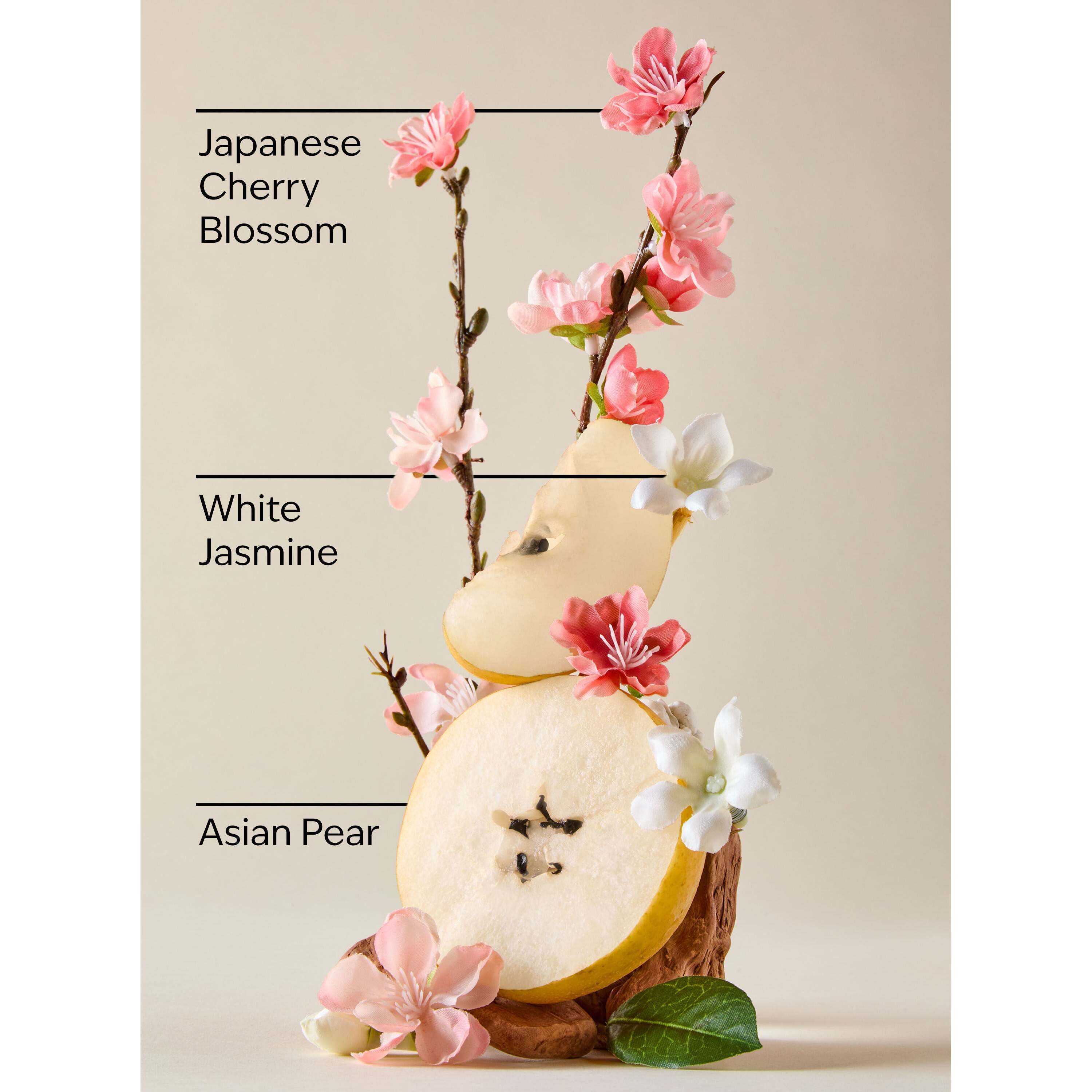 Japanese Cherry Blossom Gentle & Clean Foaming Hand Soap - Image 3