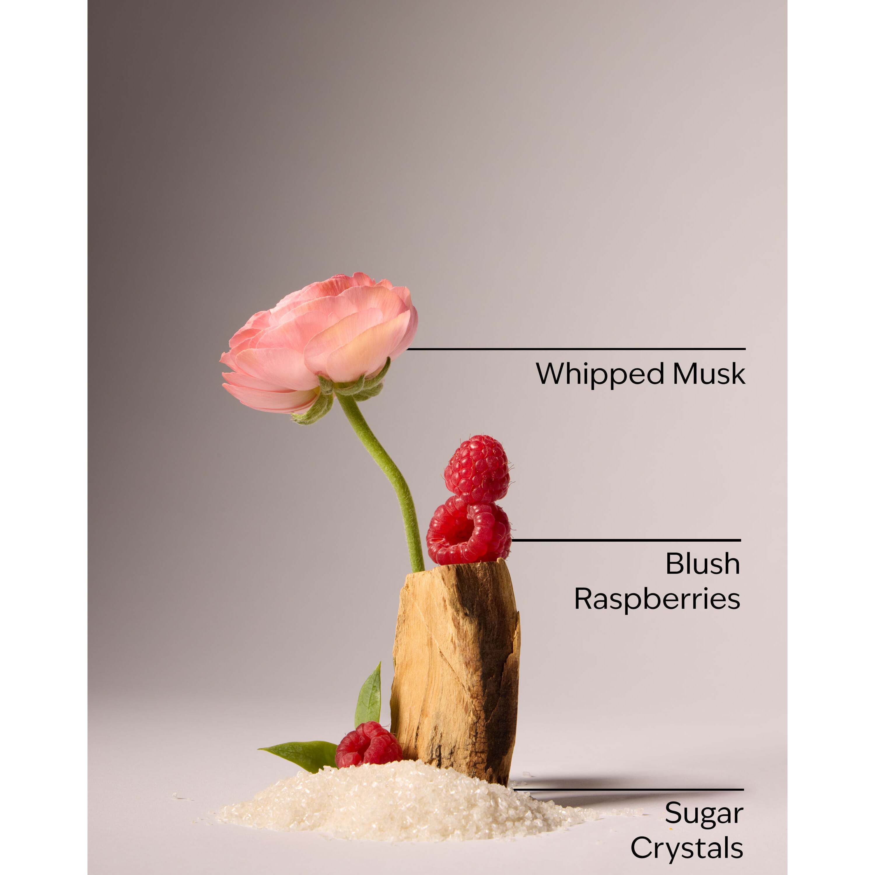 Sweetest Song Eau De Parfum - Image 3