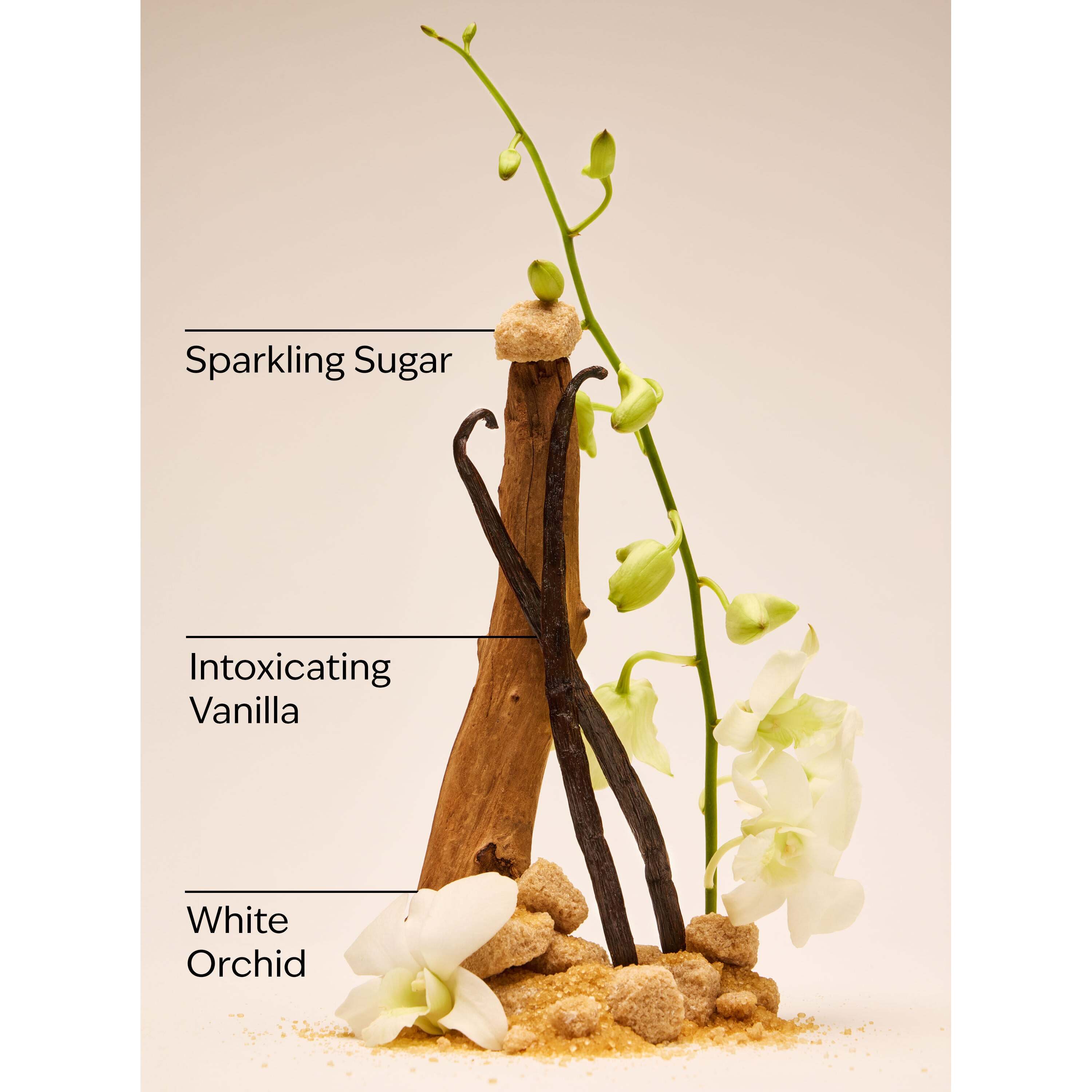 Warm Vanilla Sugar Body Lotion - Image 3