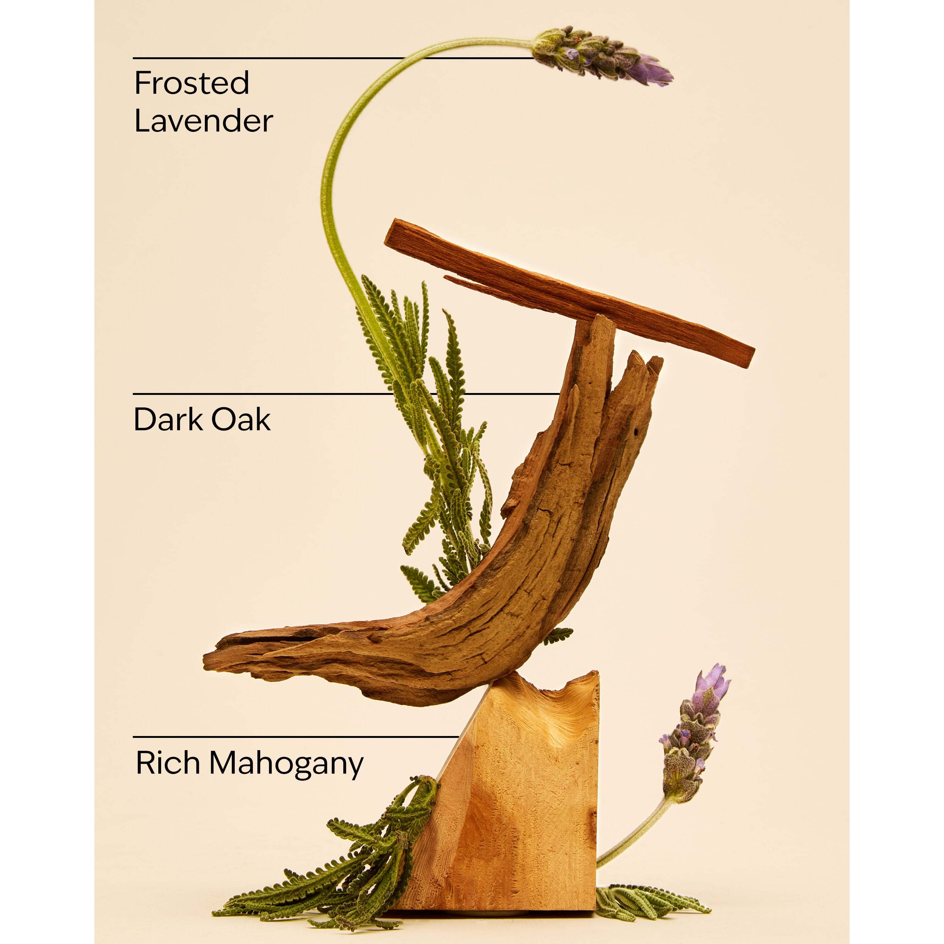 Mahogany Teakwood Cologne - Image 3