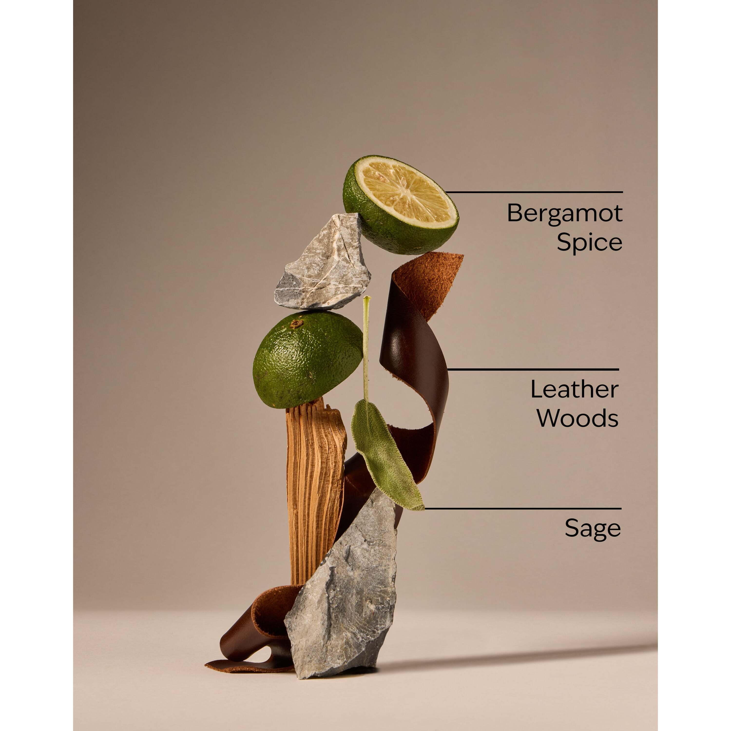 Graphite Cologne - Image 3