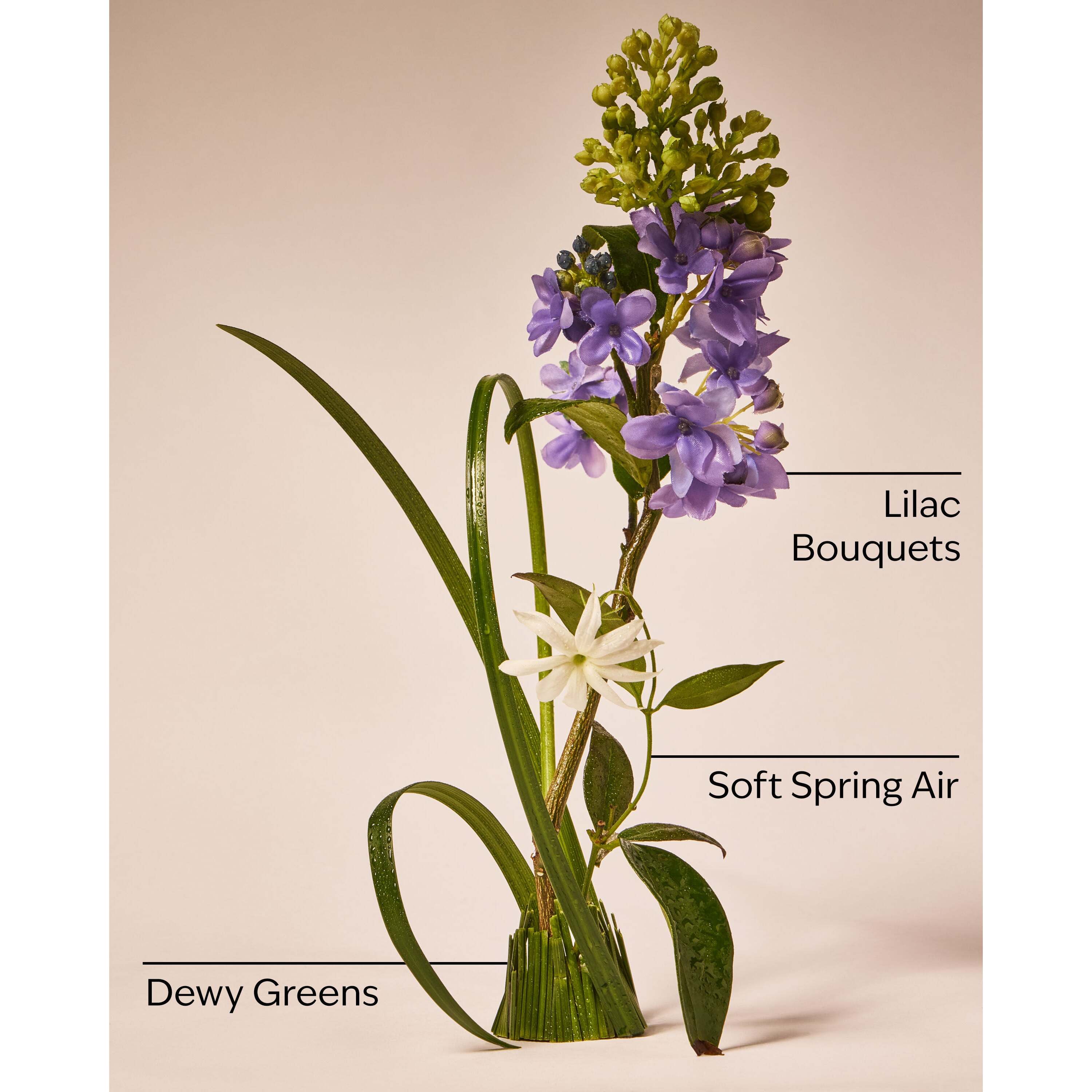 Fresh Cut Lilacs Wallflowers Fragrance Refill - Image 3
