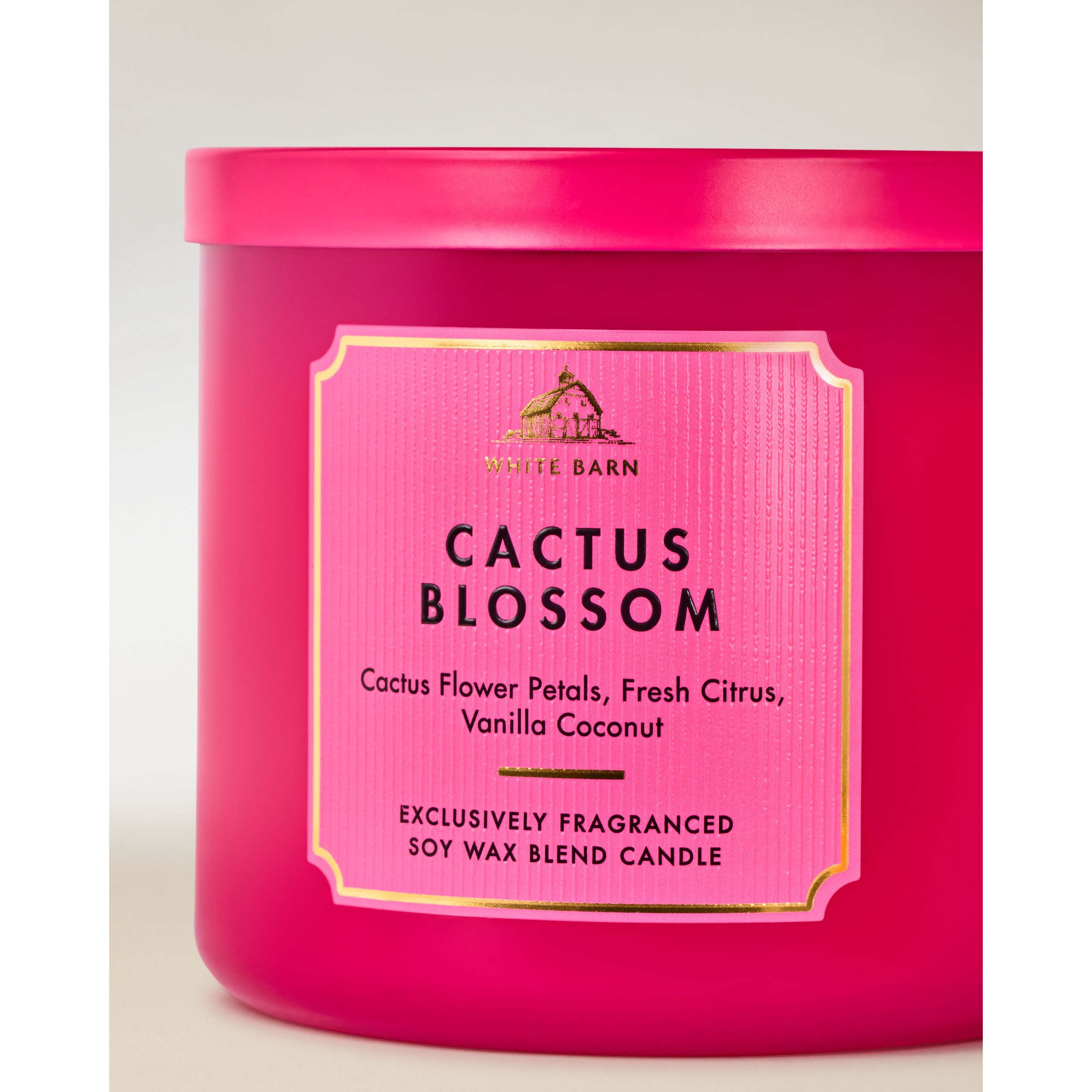 Cactus Blossom 3-Wick Candle - Image 2