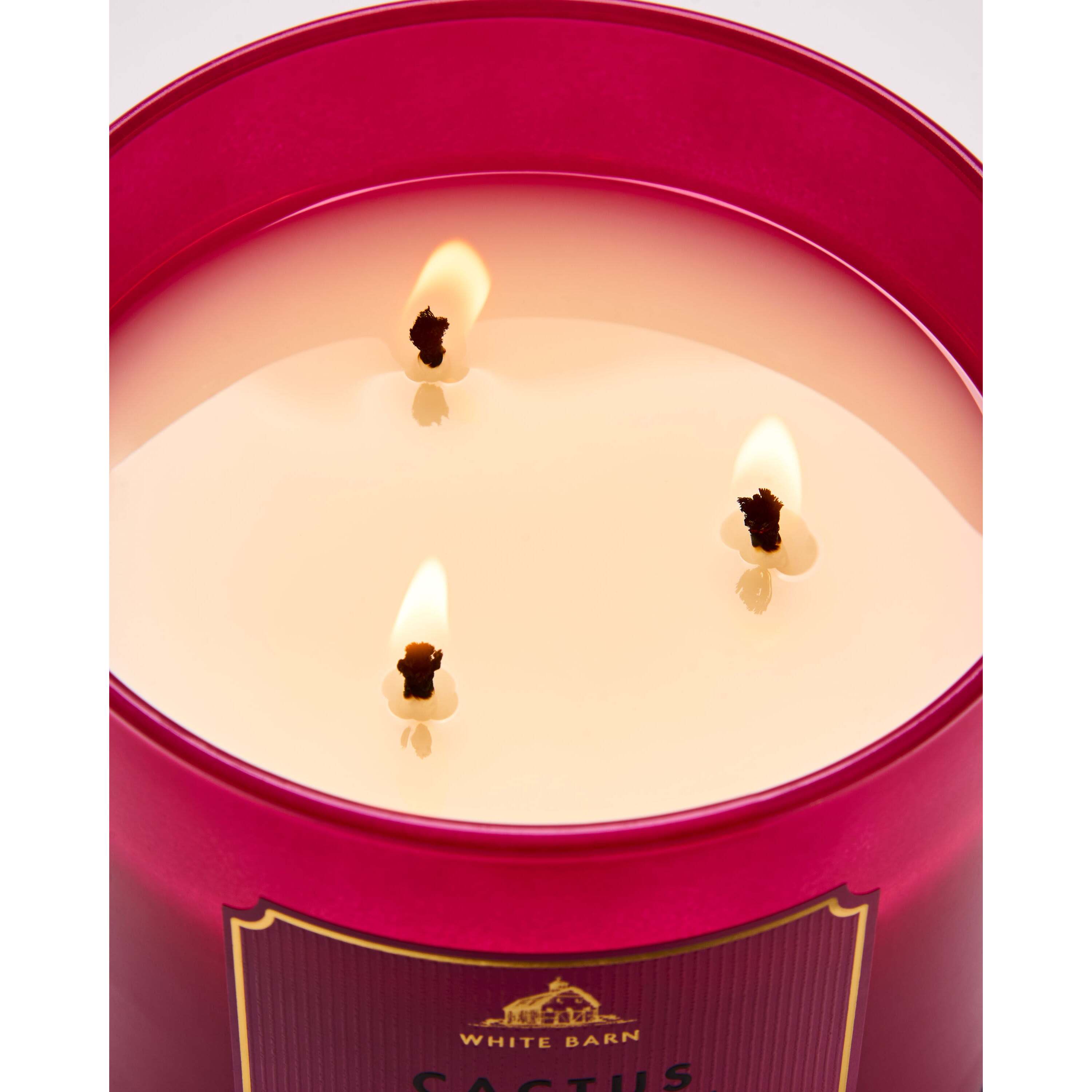 Cactus Blossom 3-Wick Candle - Image 5