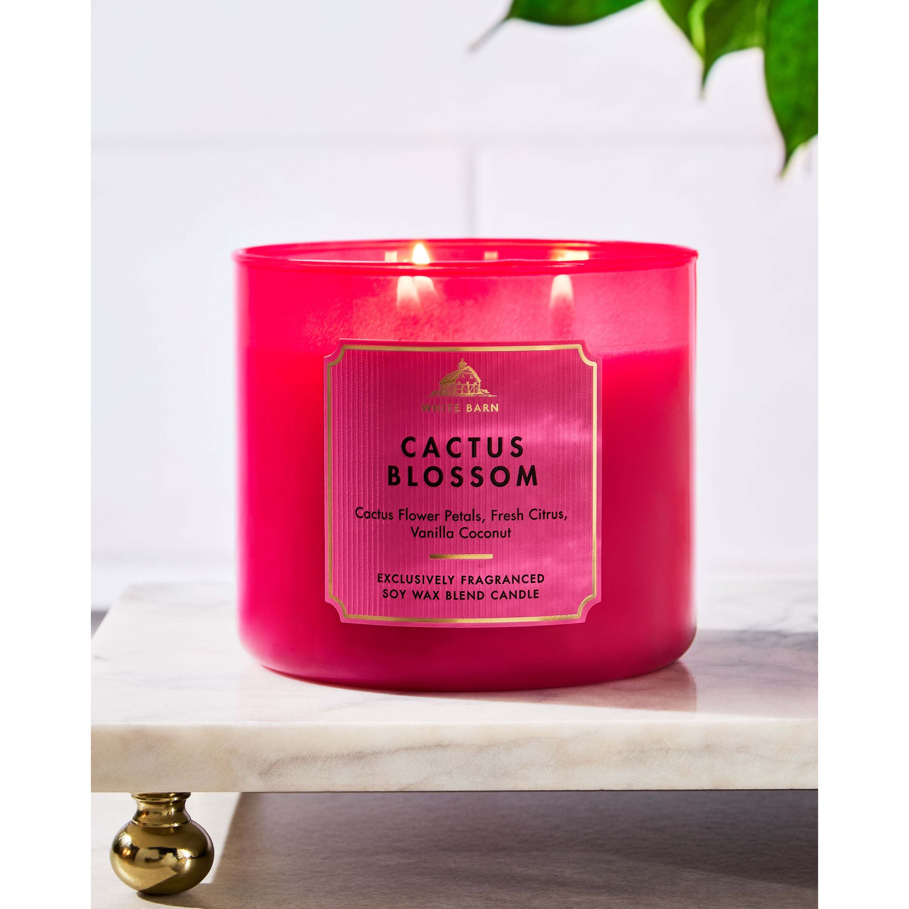 Cactus Blossom 3-Wick Candle - Image 6