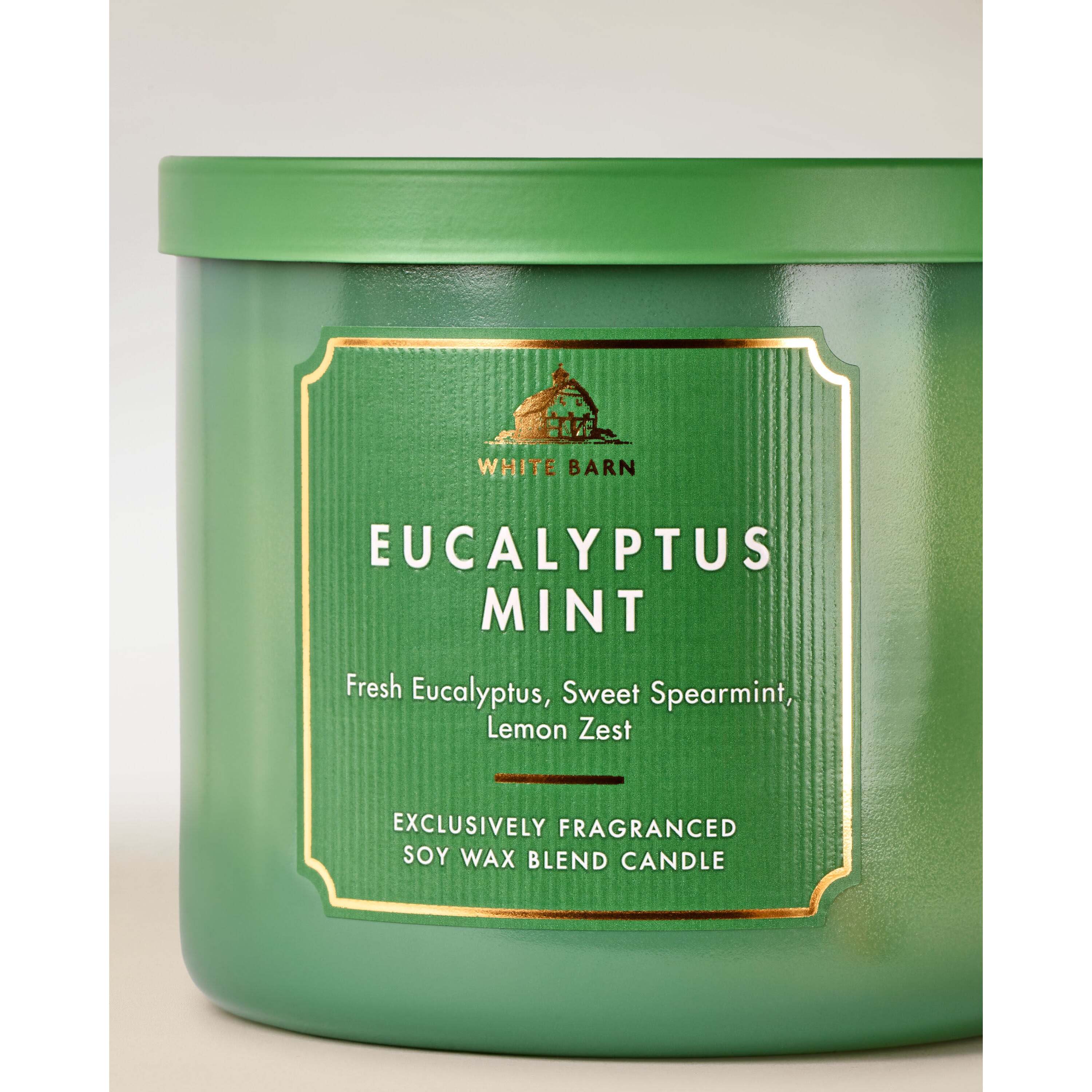 Eucalyptus Mint 3-Wick Candle - Image 2