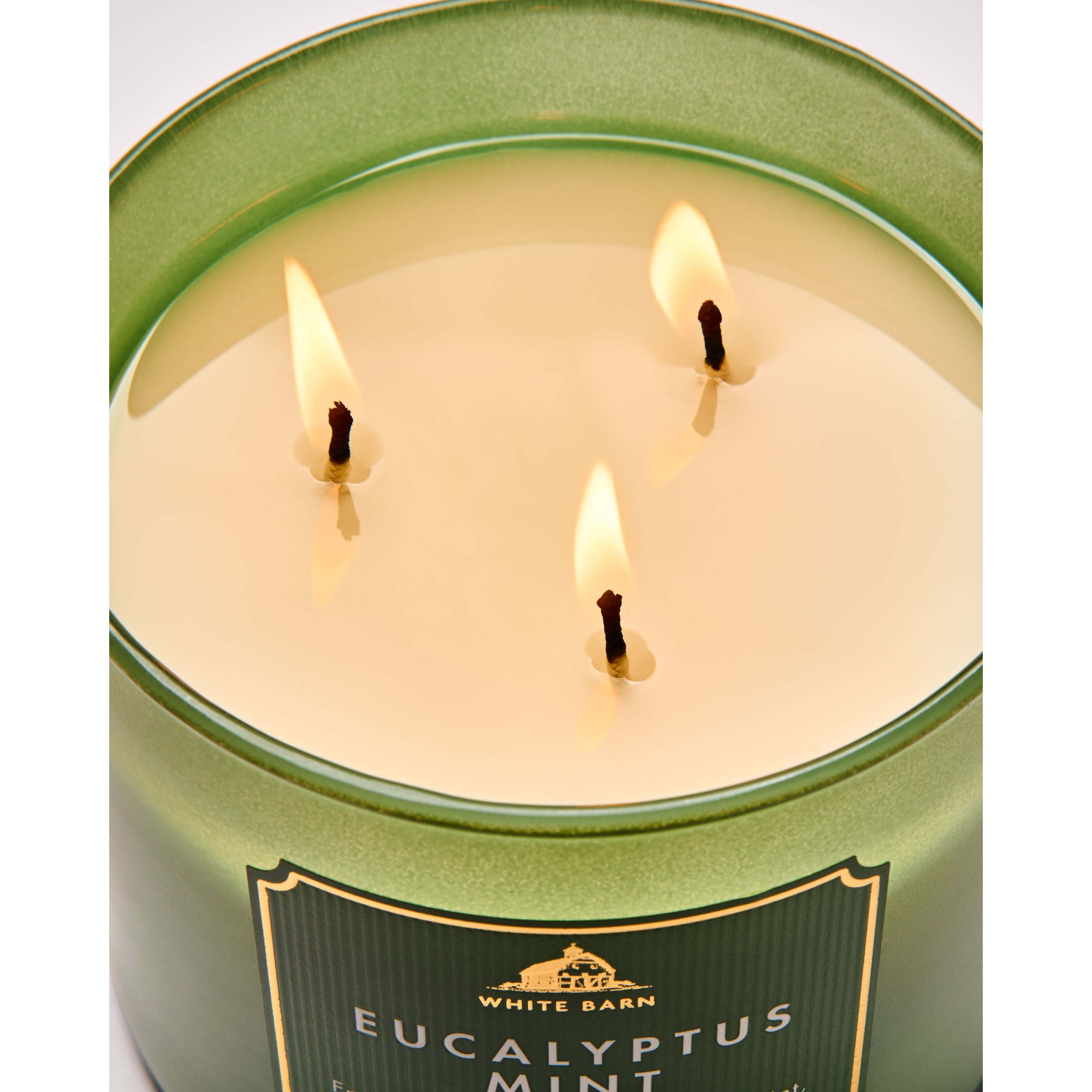 Eucalyptus Mint 3-Wick Candle - Image 5