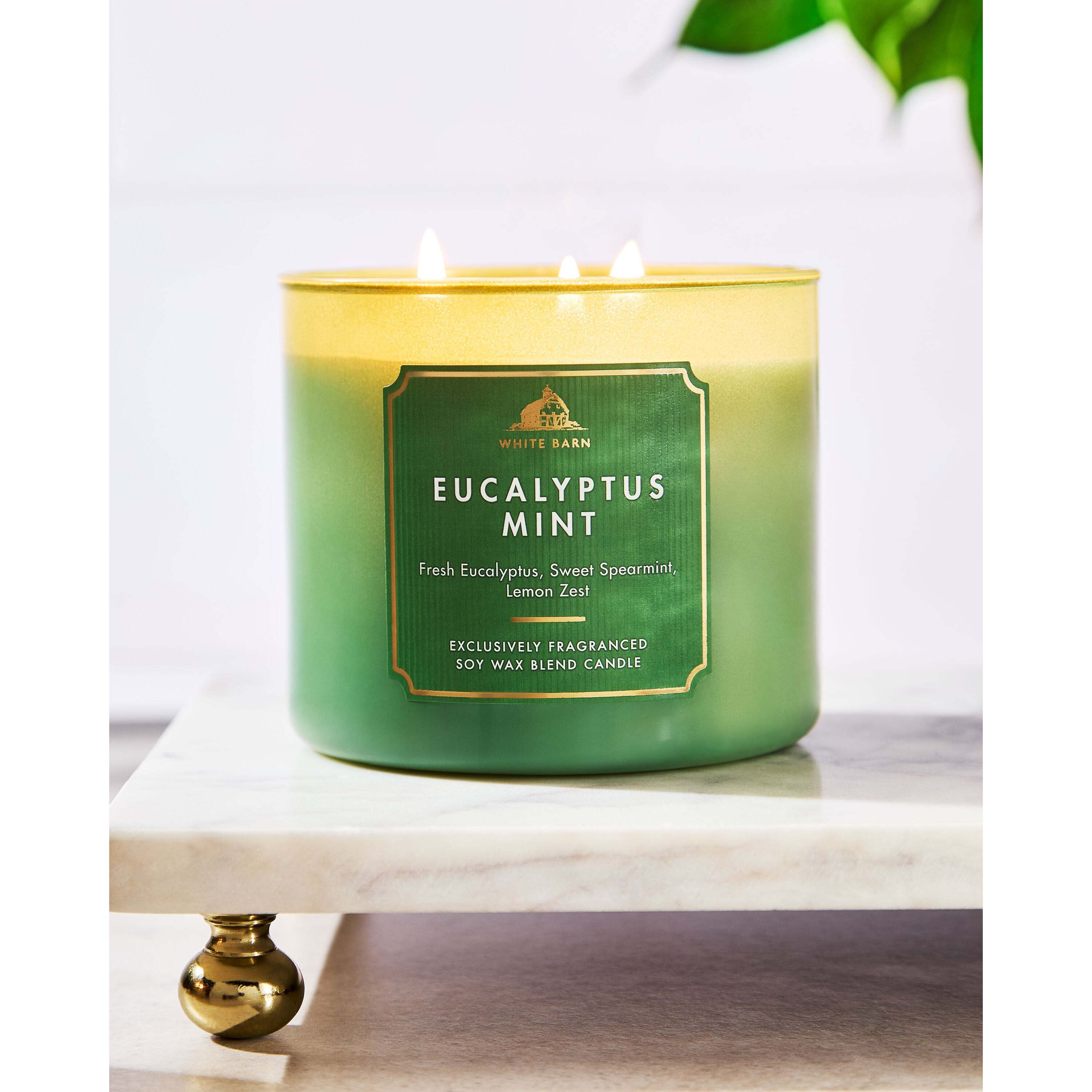 Eucalyptus Mint 3-Wick Candle - Image 6