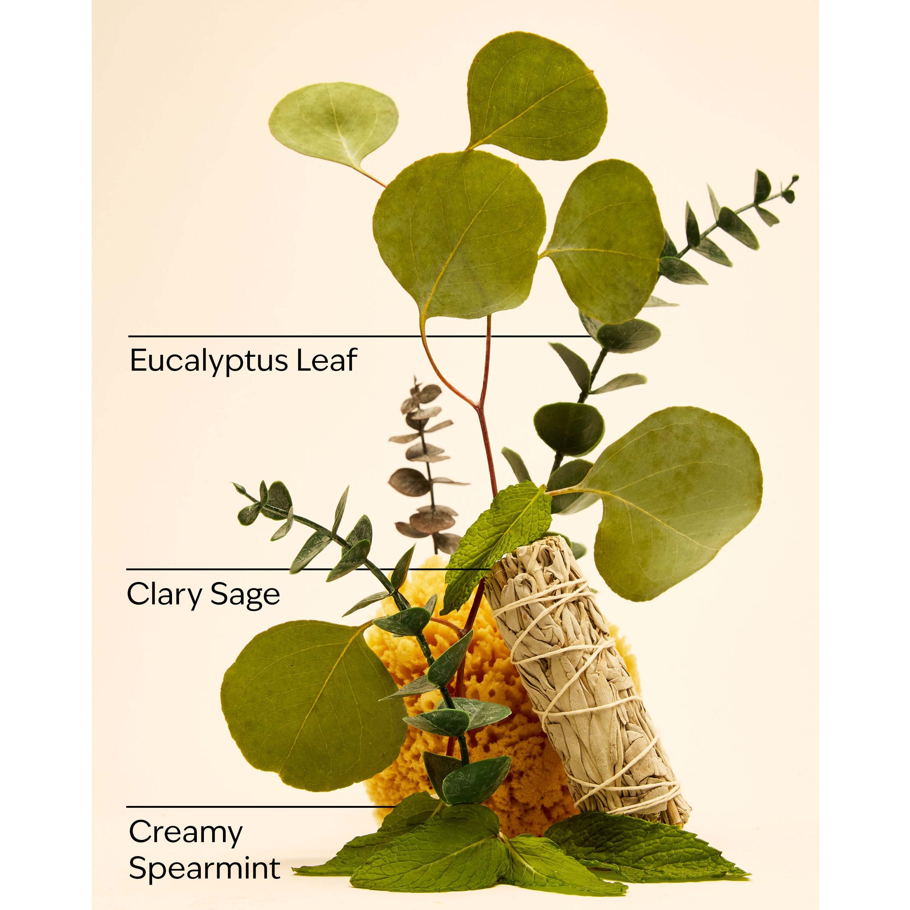 Eucalyptus Spearmint Hand Sanitizer Spray - Image 3