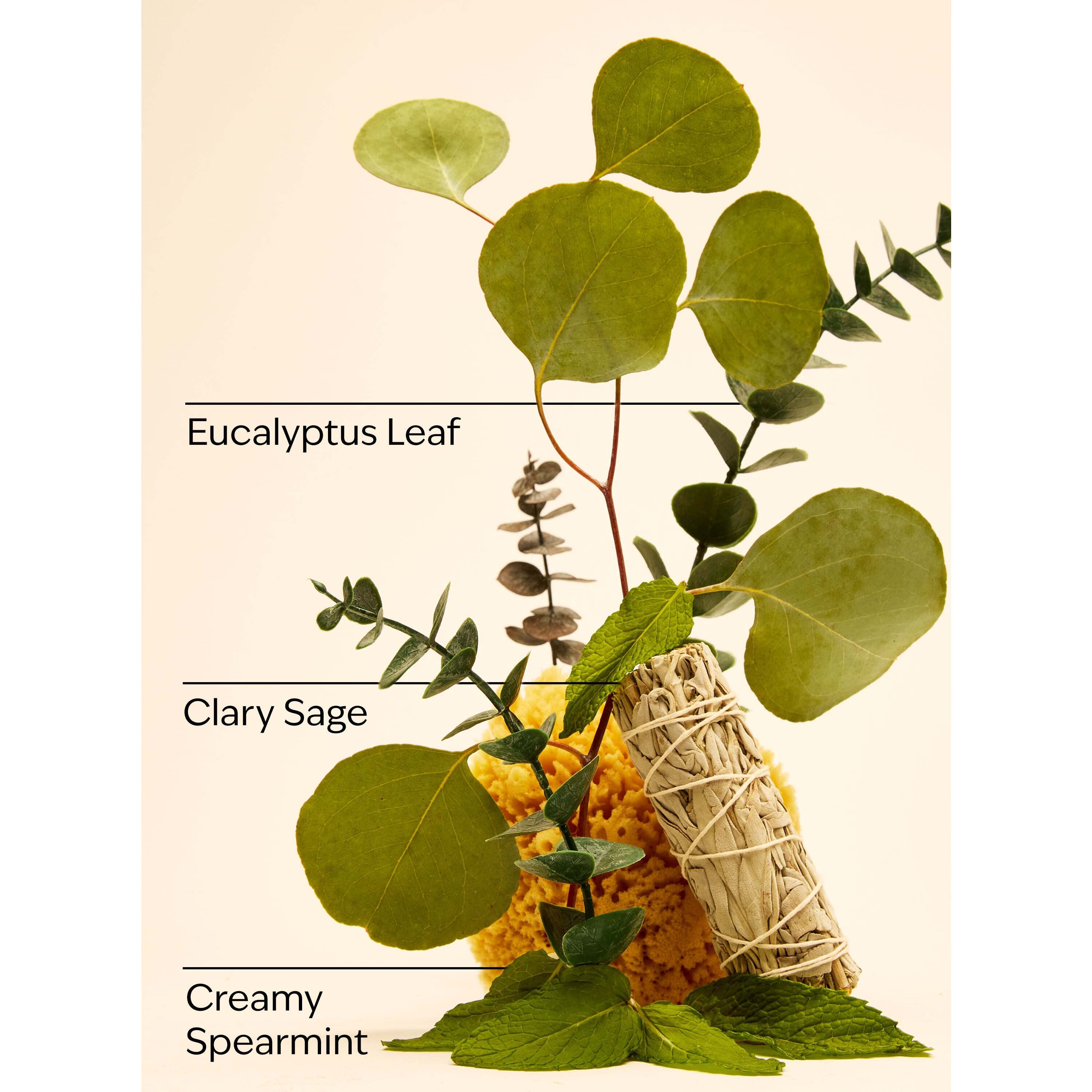 Eucalyptus Spearmint Gentle & Clean Foaming Hand Soap - Image 3