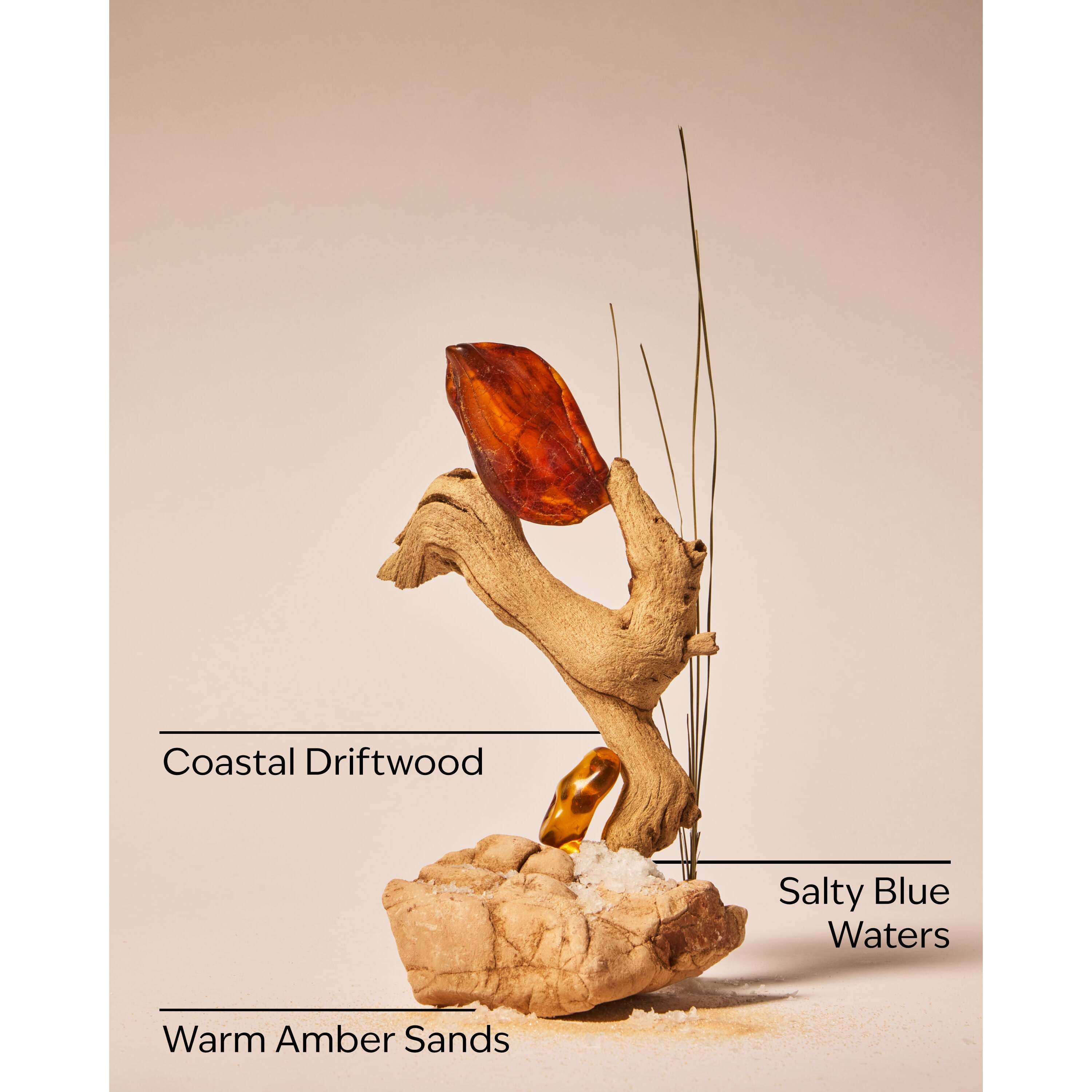 Sandbar Wallflowers Fragrance Refill - Image 3