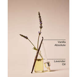 Coco Shea Rich Moisture Moisturizing Body Lotion - Image 8