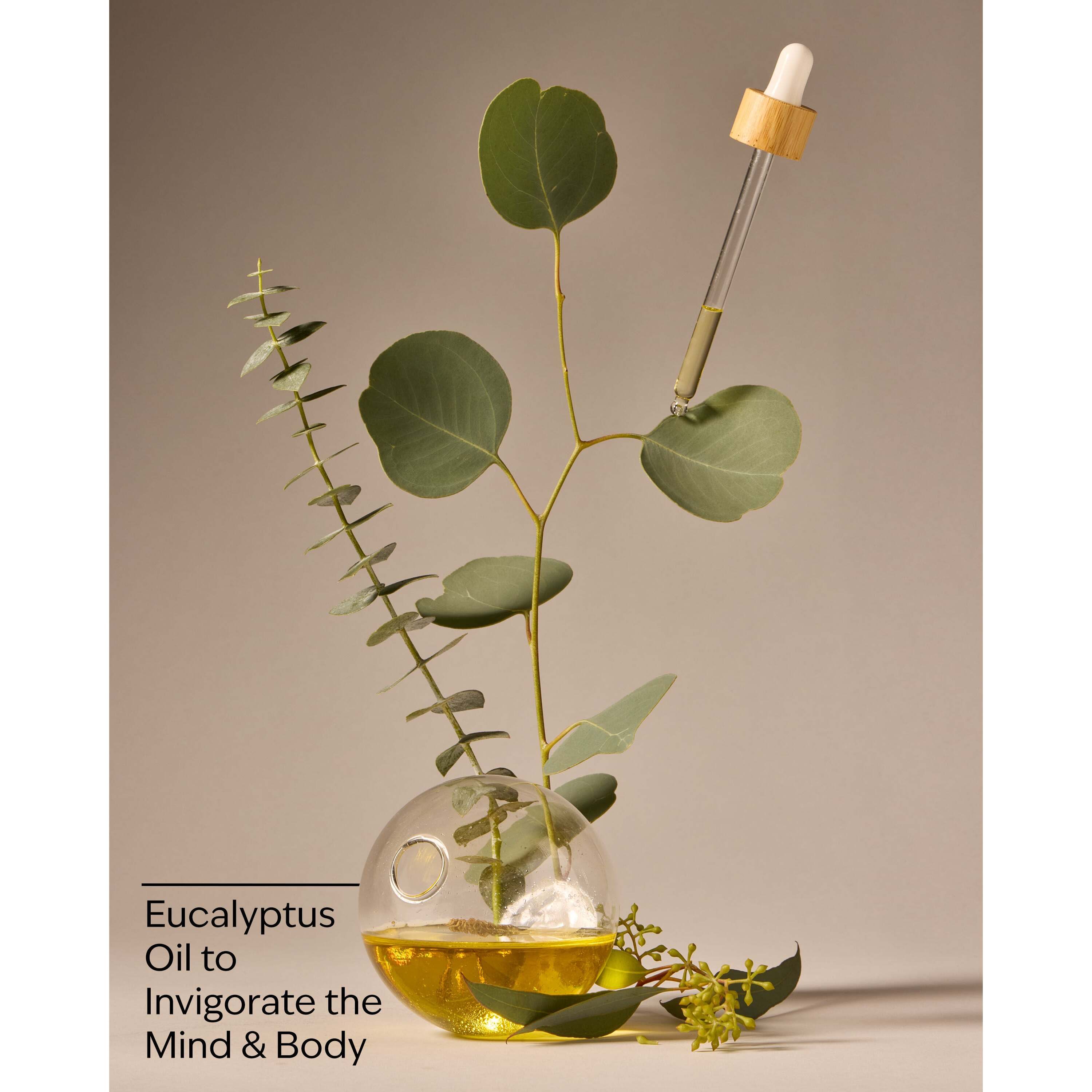 Eucalyptus Ultimate Hydration Body Cream - Image 3