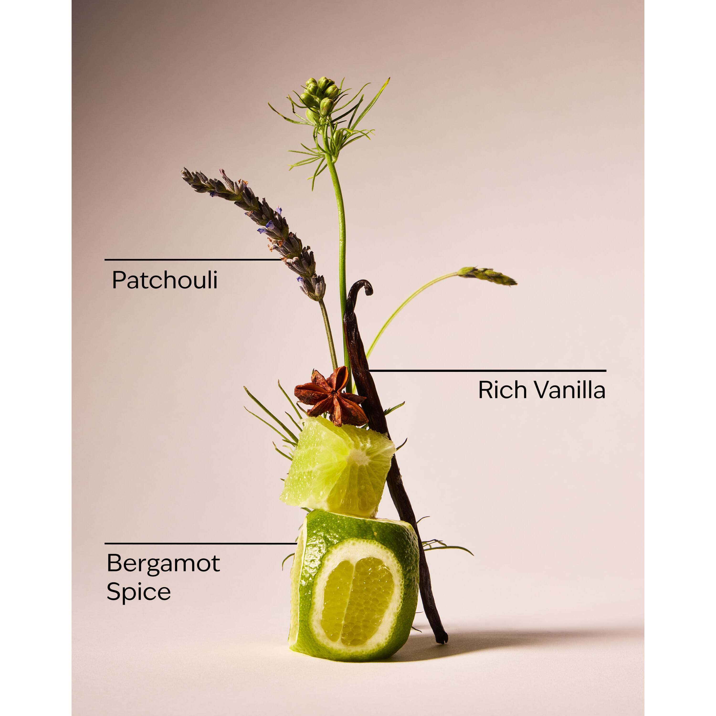 Vanilla Noir Cologne - Image 3