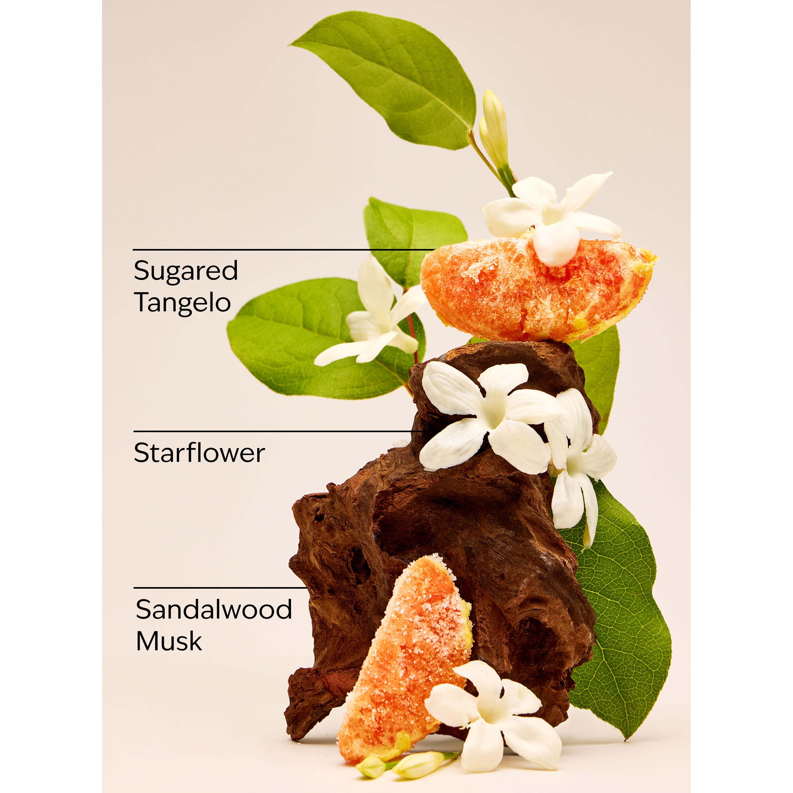 In The Stars Body Lotion - Image 3