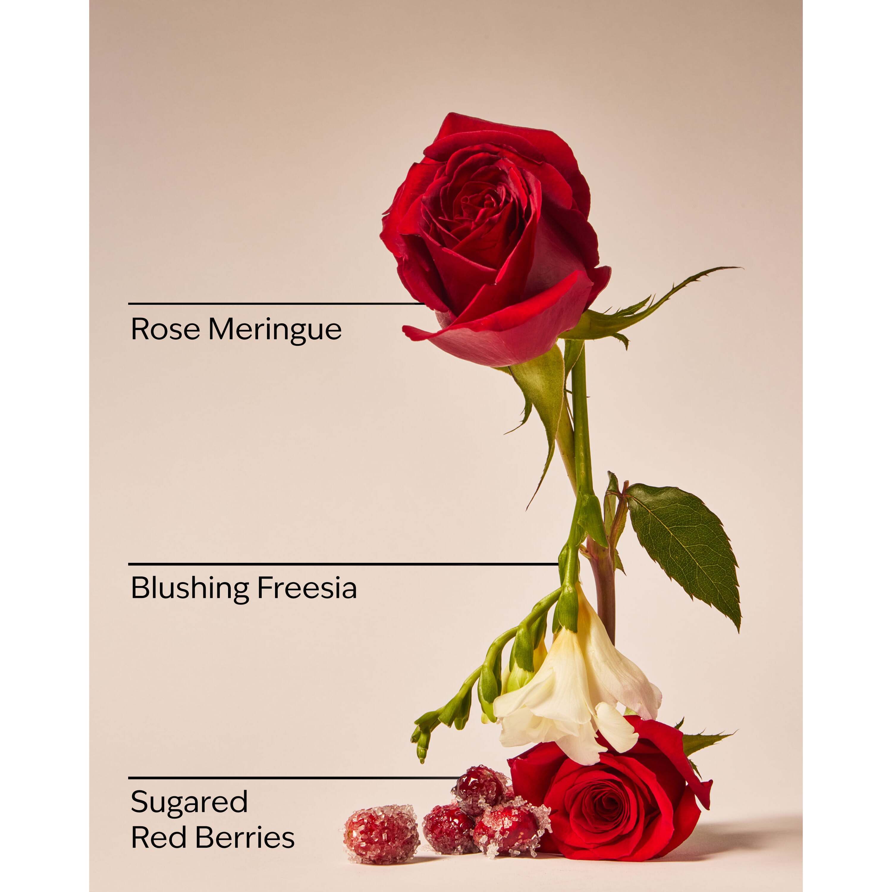 Gingham Love Body Wash - Image 3