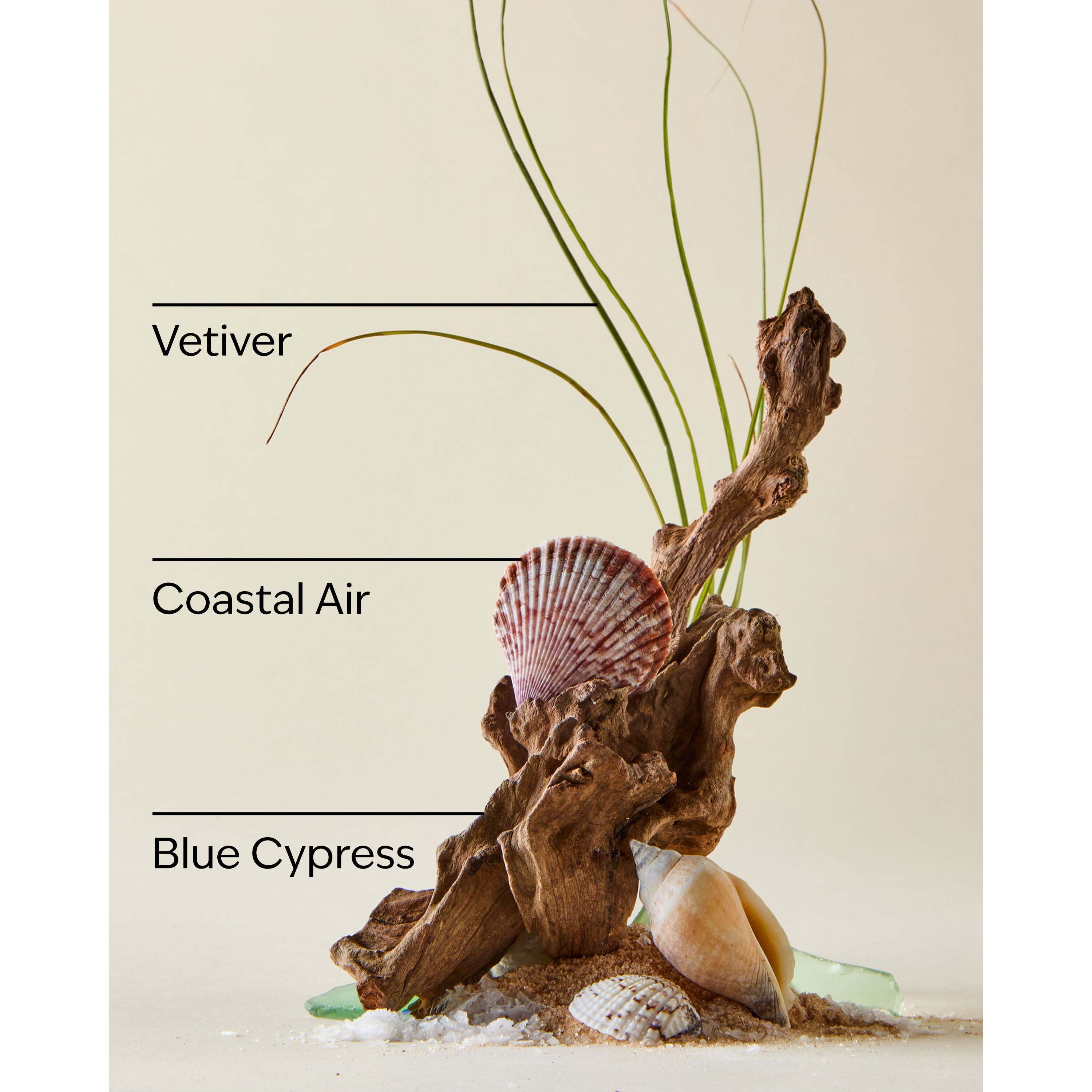 Ocean Car Fragrance Refill - Image 3