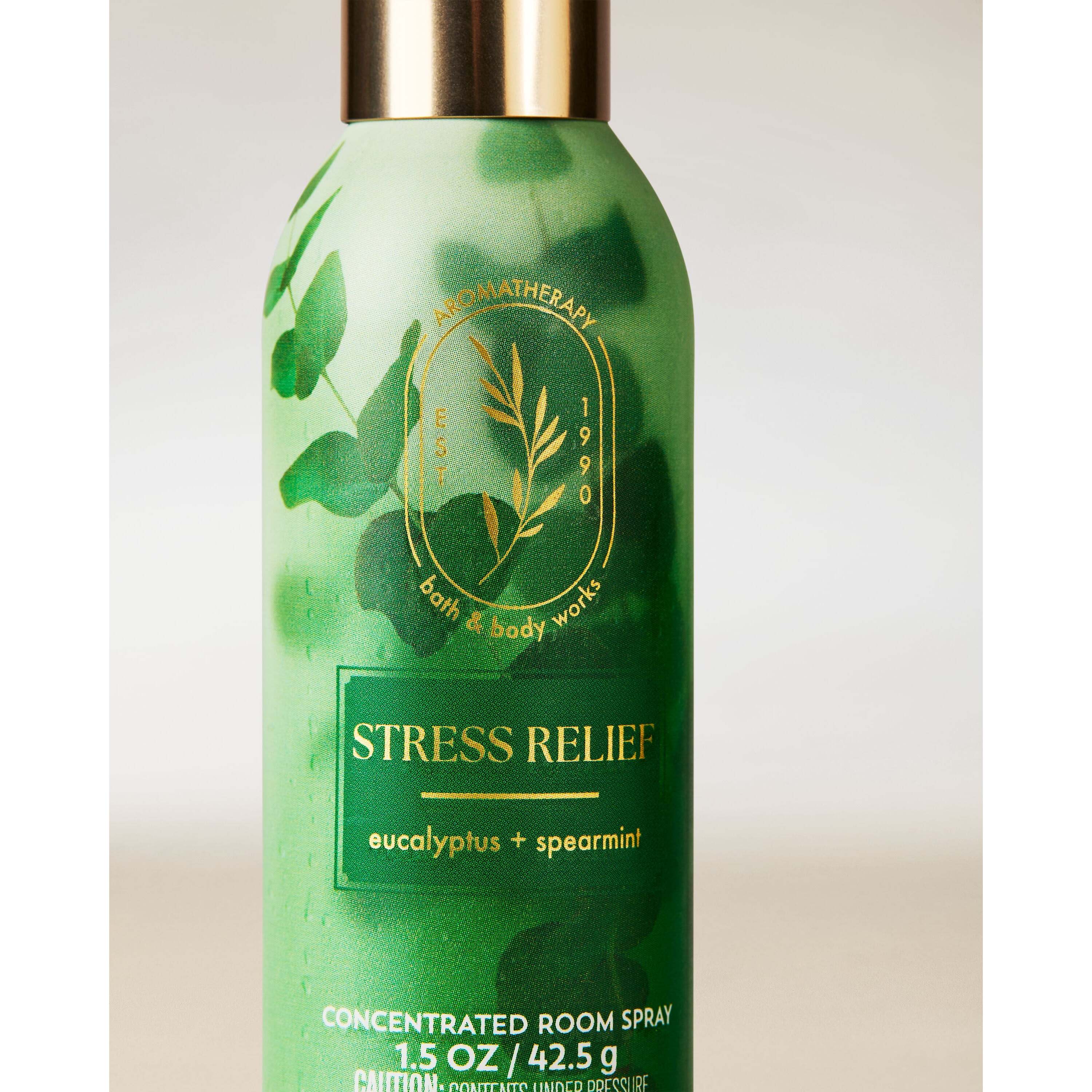 Eucalyptus Spearmint Concentrated Room Spray - Image 2