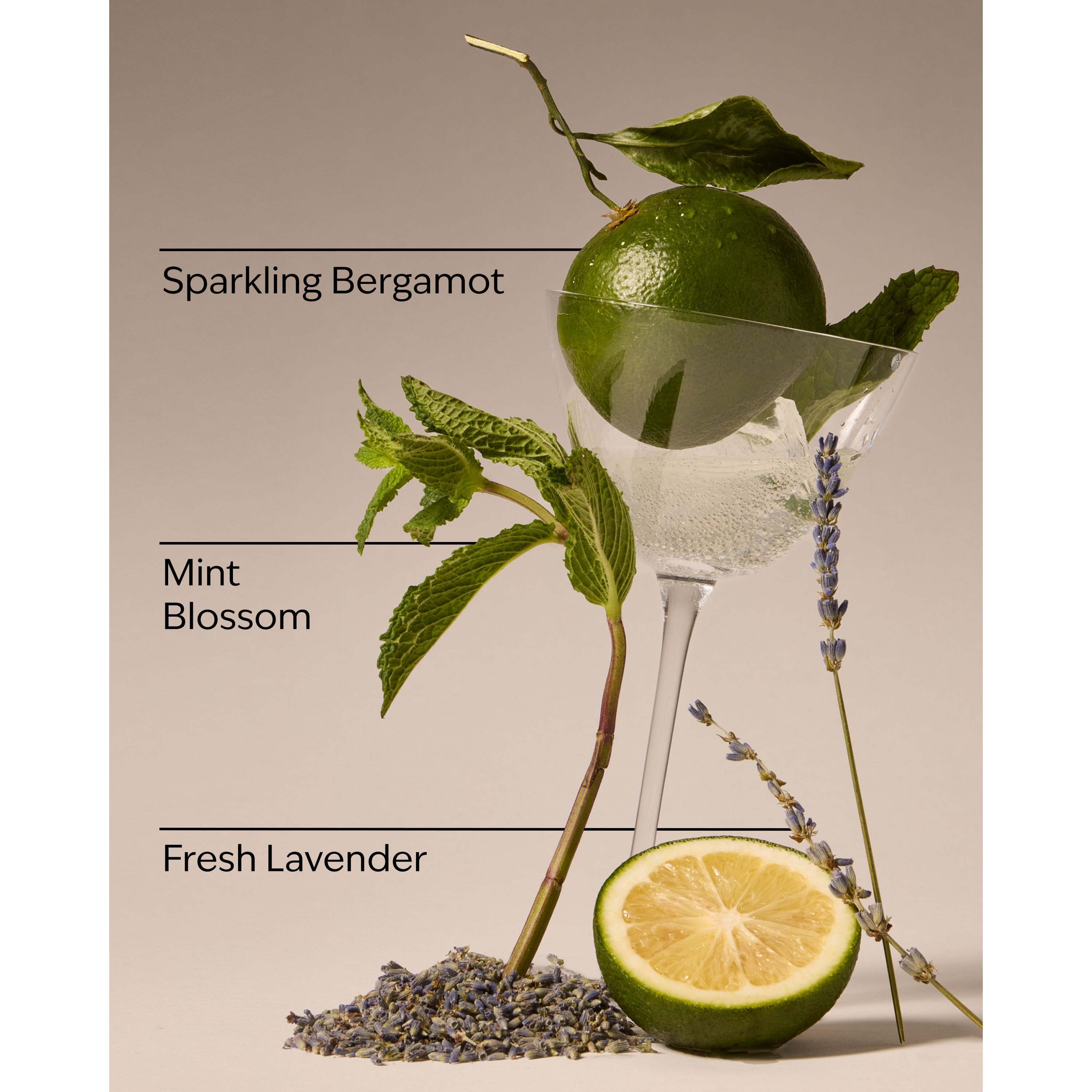 Clean House Vibes Hanging Fragrance Diffuser - Image 3