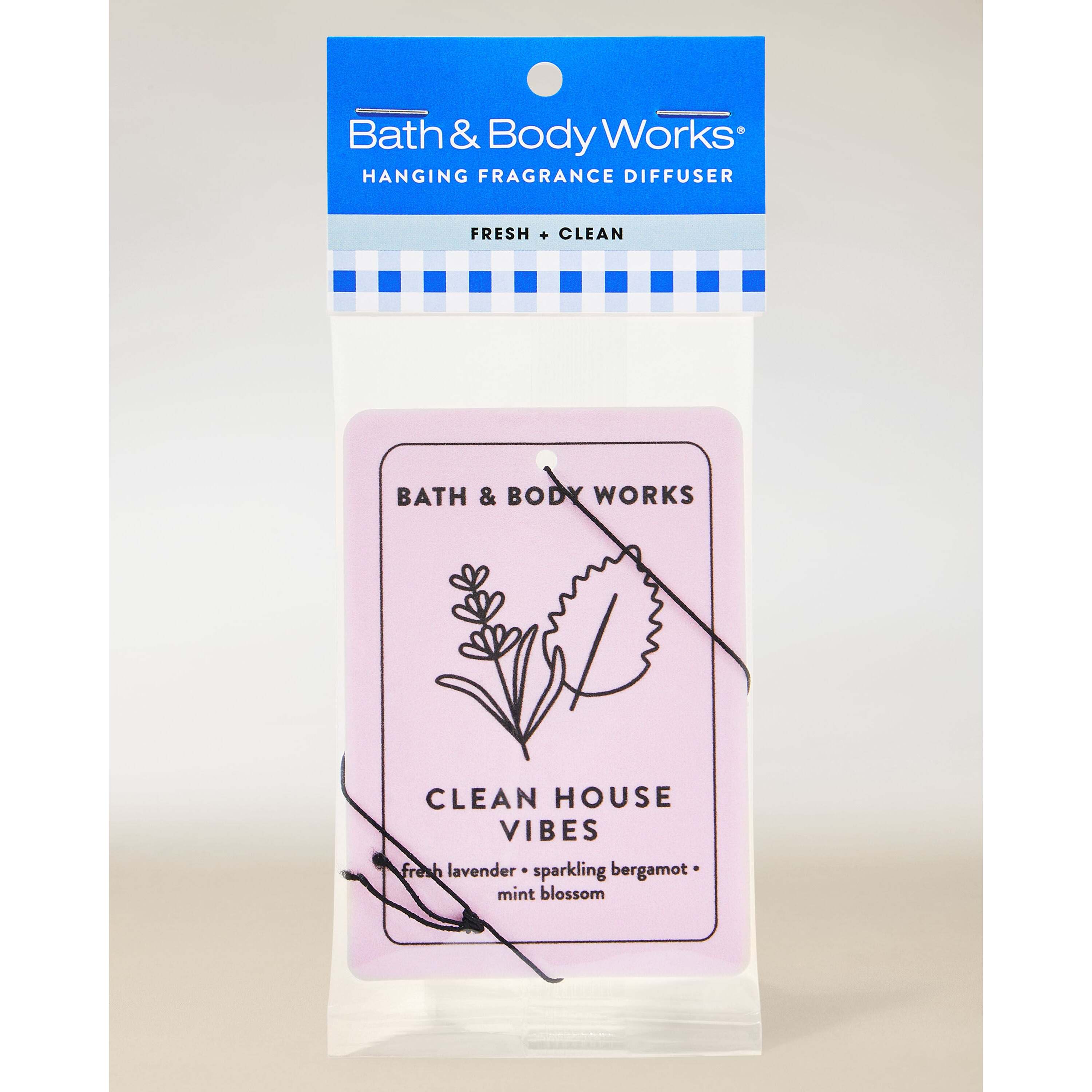 Clean House Vibes Hanging Fragrance Diffuser - Image 5