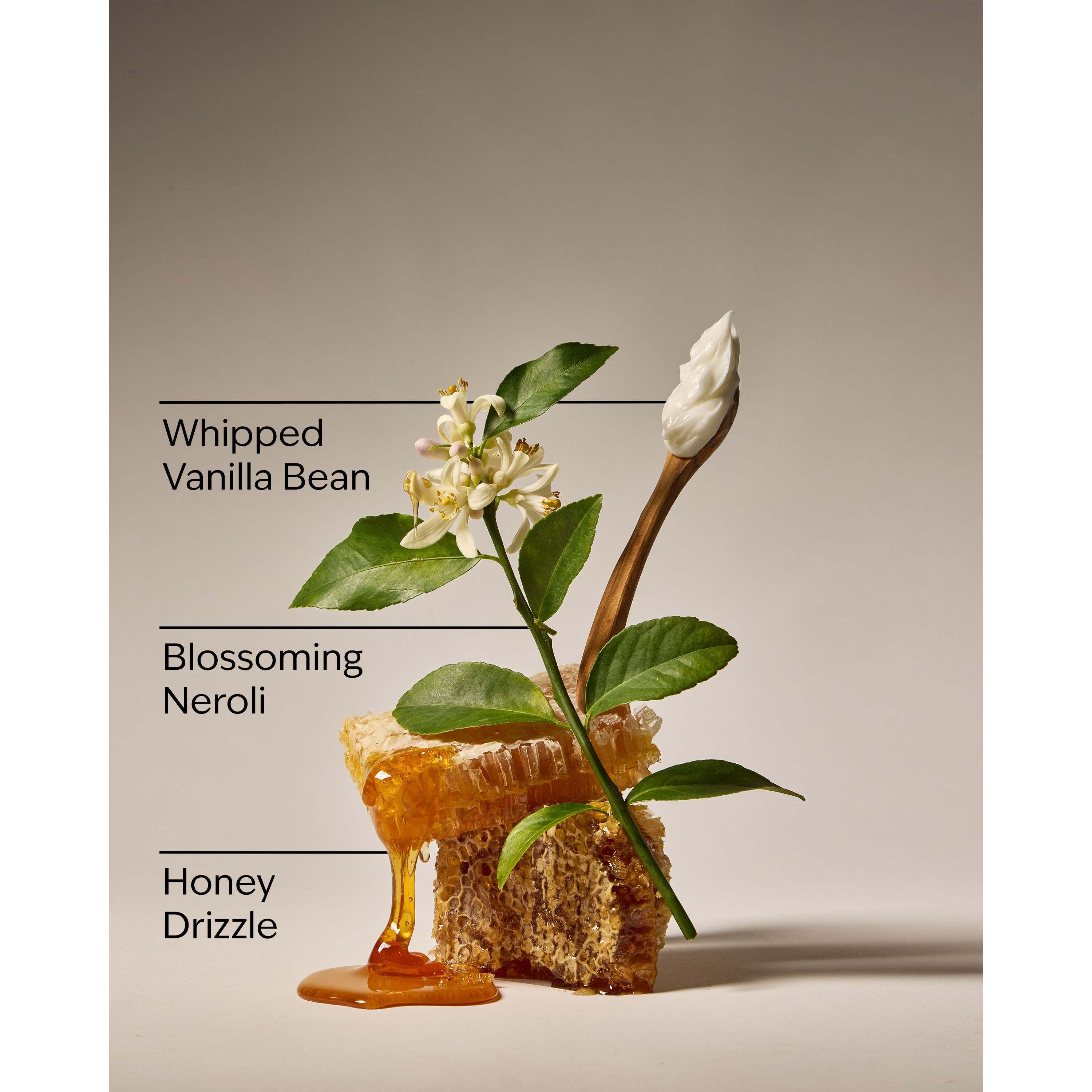 Whipped Honey & Vanilla Hanging Fragrance Diffuser - Image 3