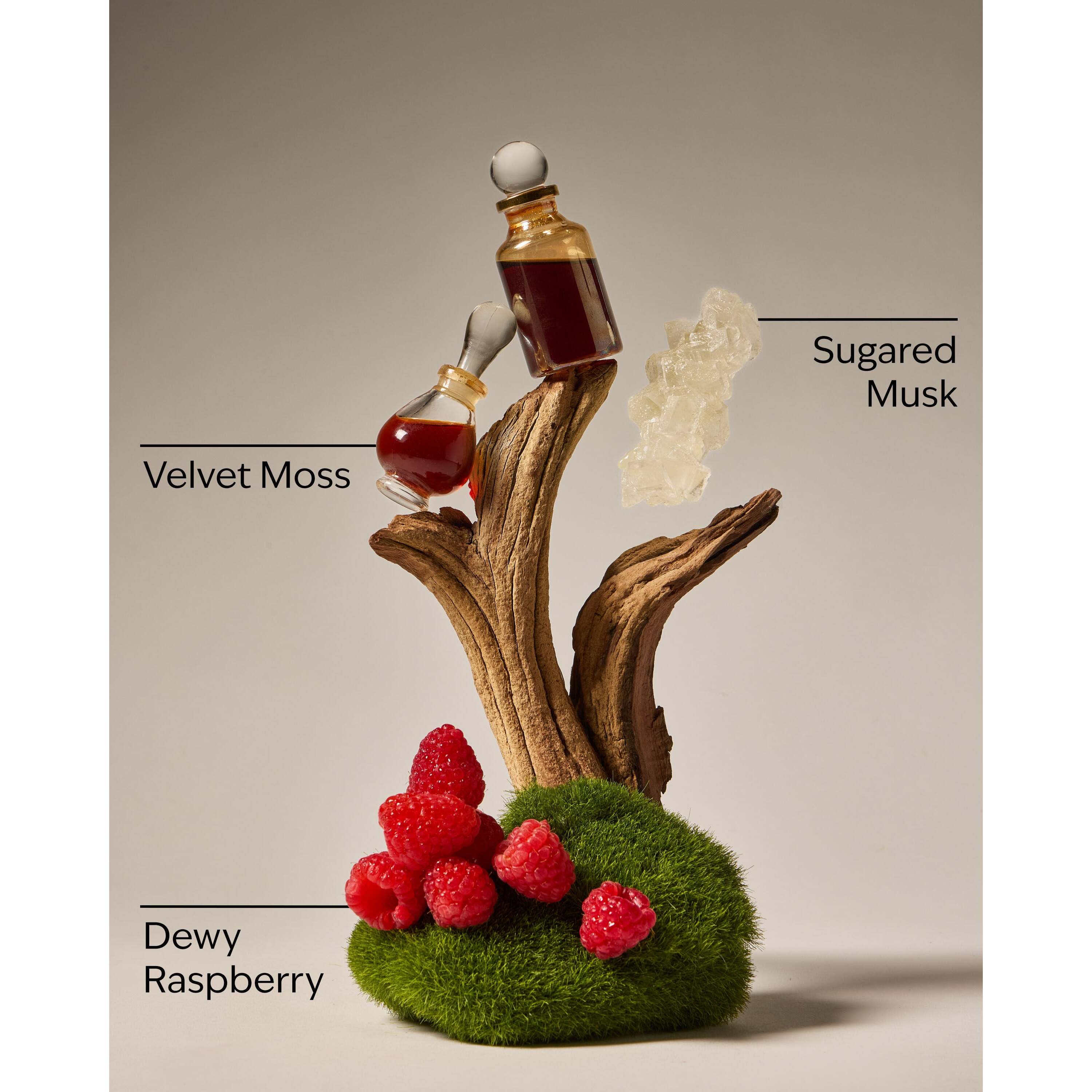 Fruity Musk Body Wash - Image 3