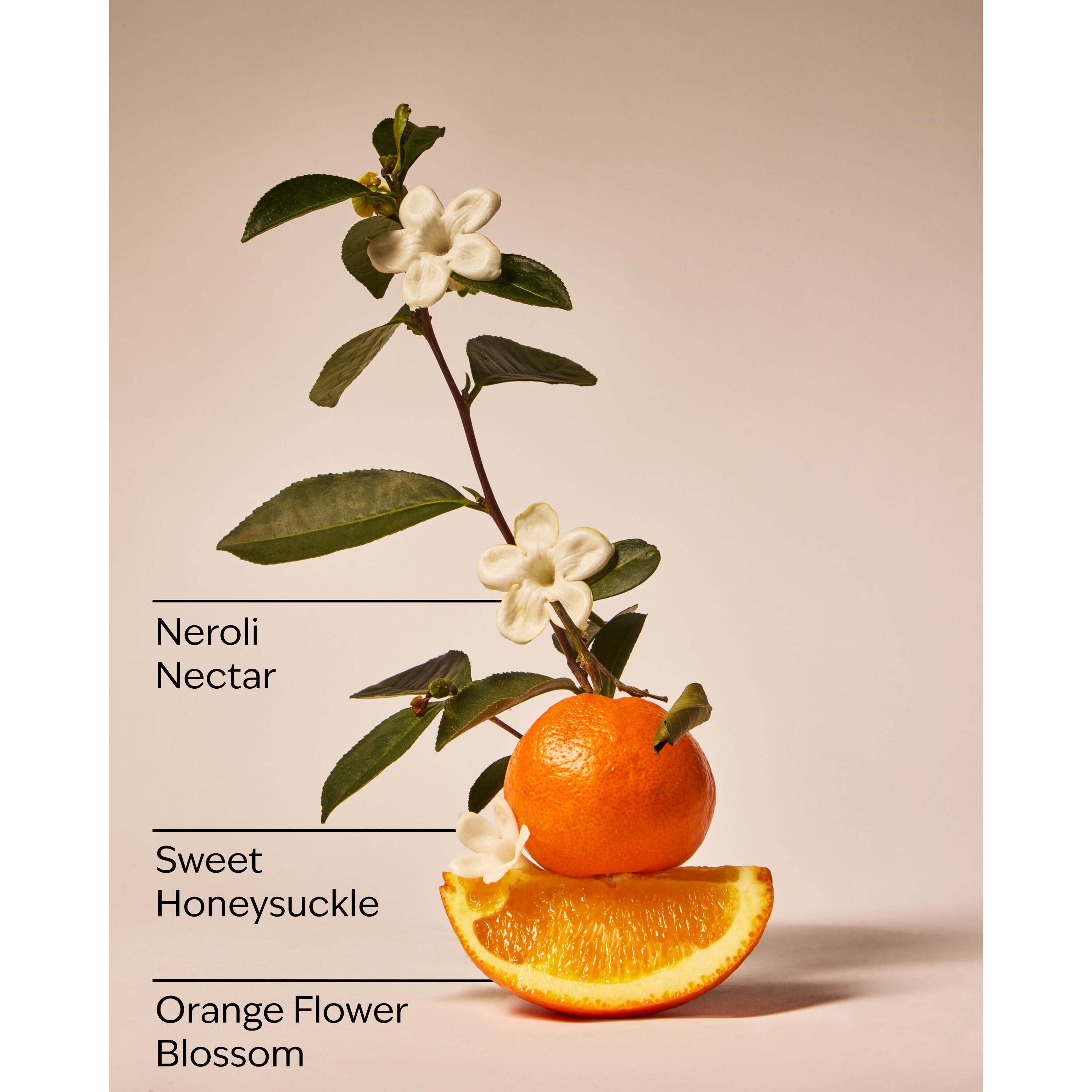 Backyard Honeysuckle Single Wick Candle - Image 3