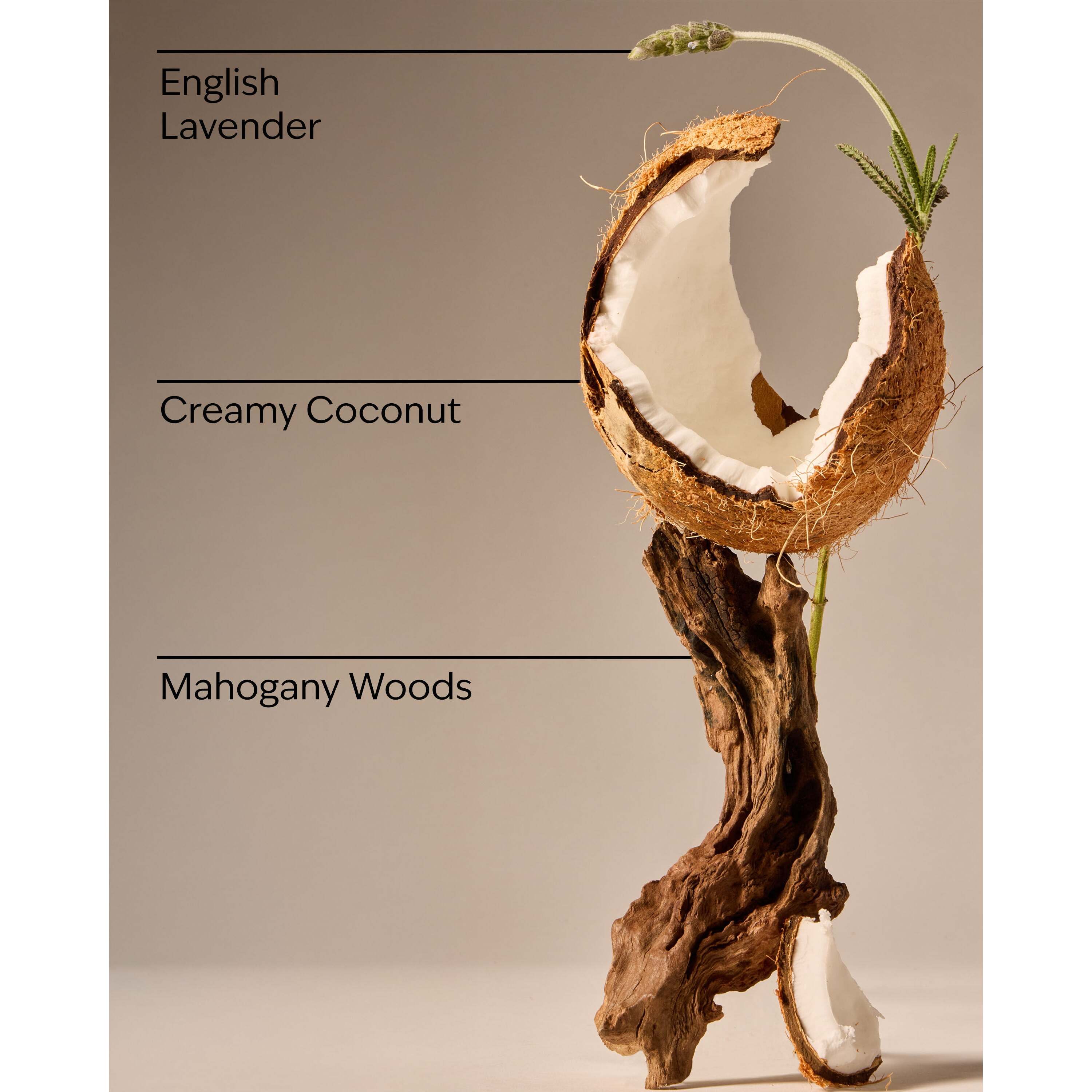 Mahogany Coconut Gentle & Clean Foaming Hand Soap - Image 3