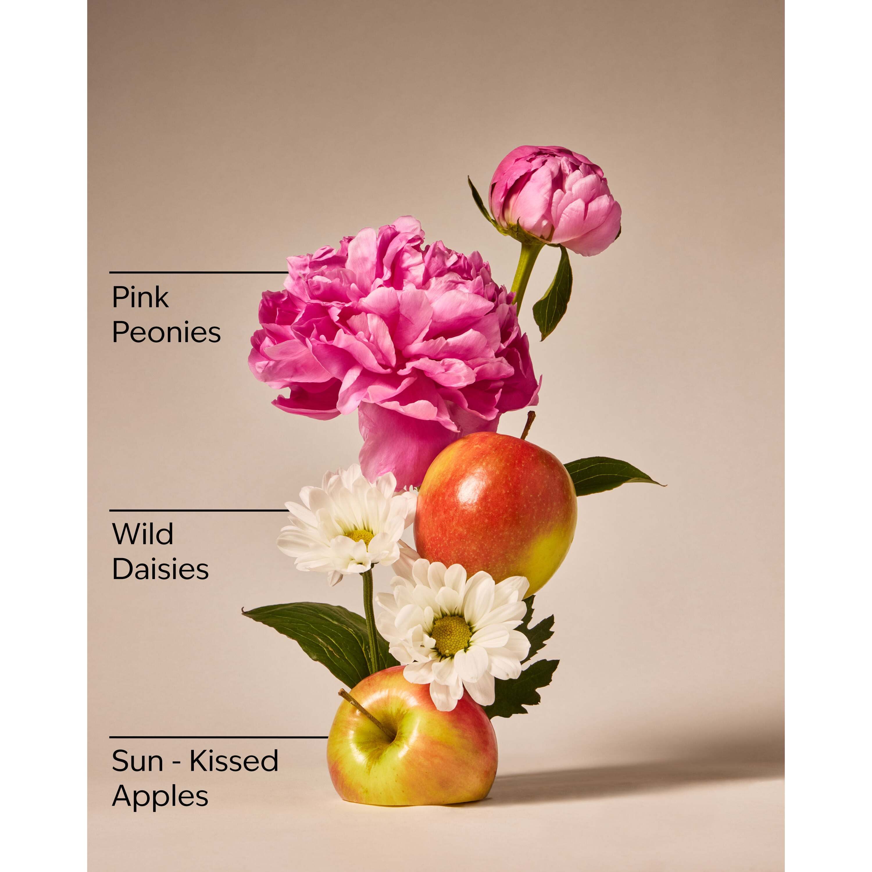 Beautiful Day Gentle & Clean Foaming Hand Soap - Image 3