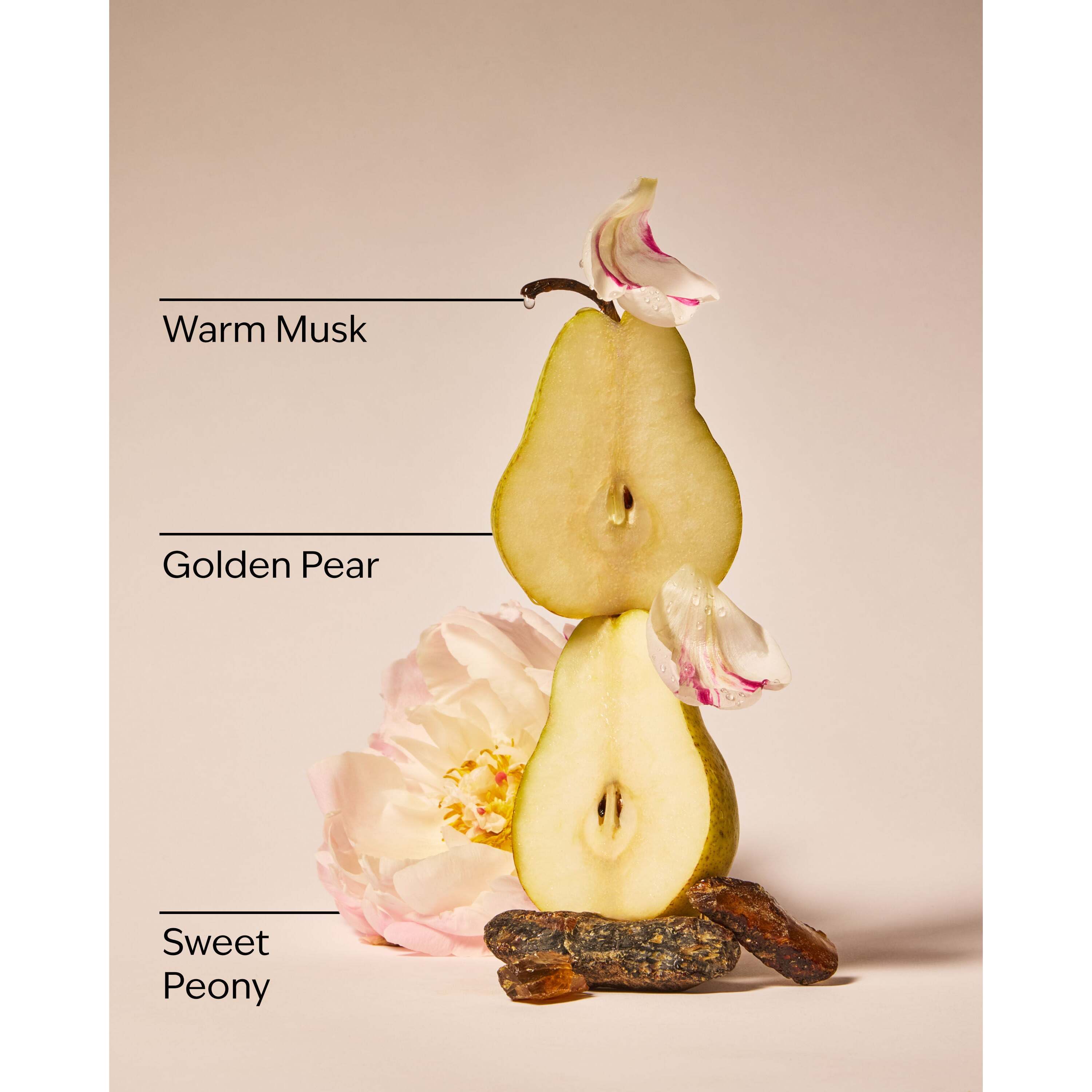 Blush Amber & Peony 3-Wick Candle - Image 3