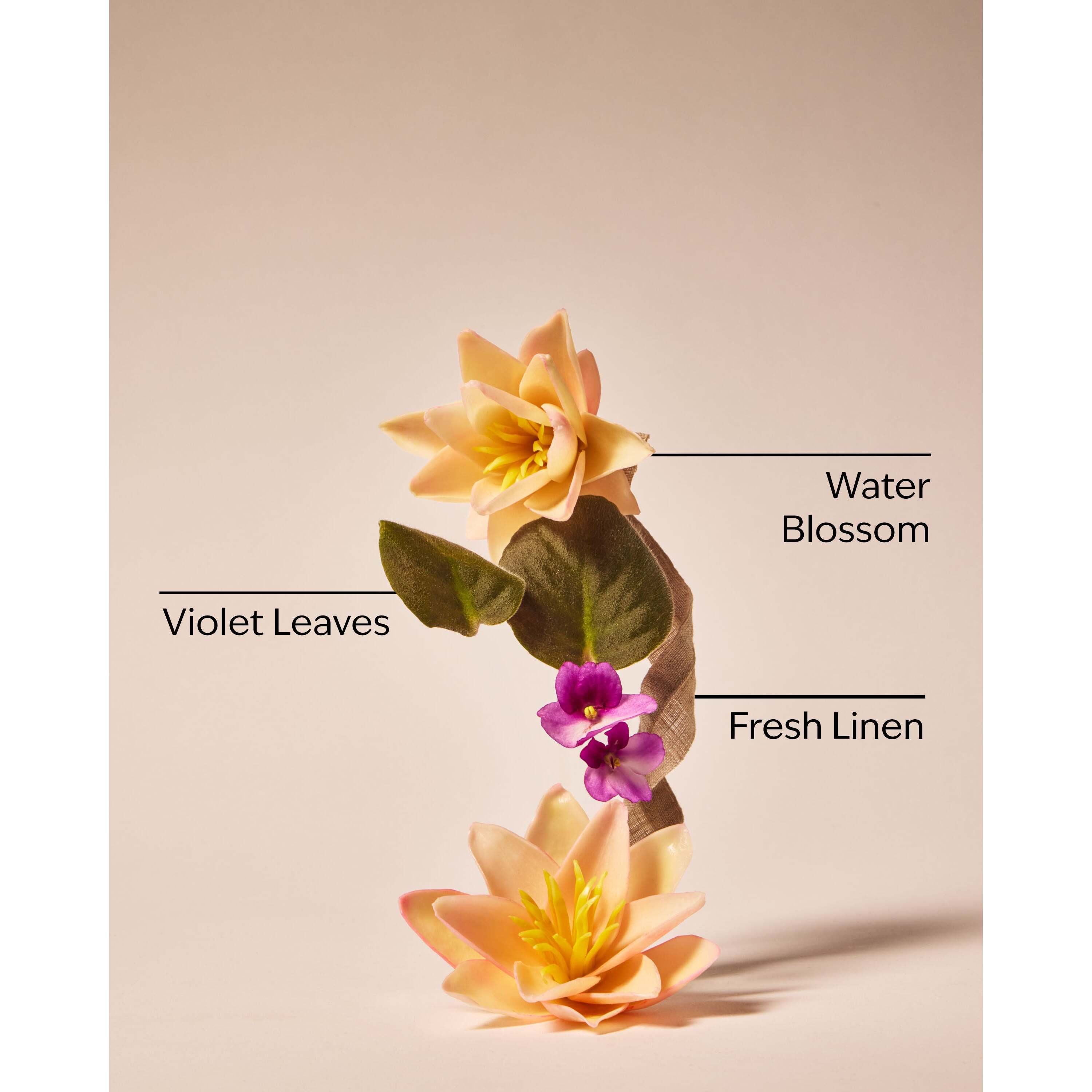 Saltwater Breeze Fine Fragrance Mist - Image 3