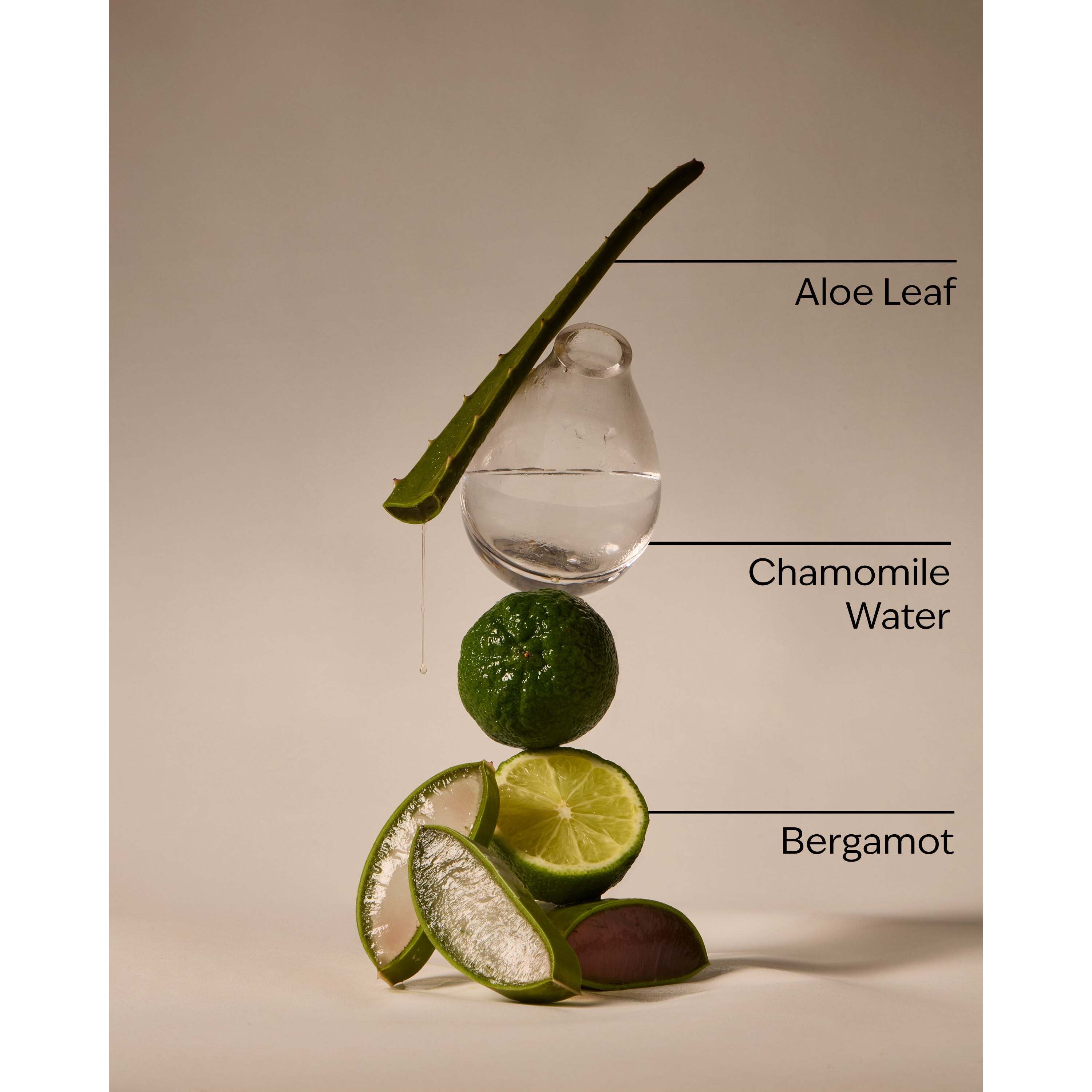 Fresh Rainfall Pocketbac Hand Sanitizer - Image 3