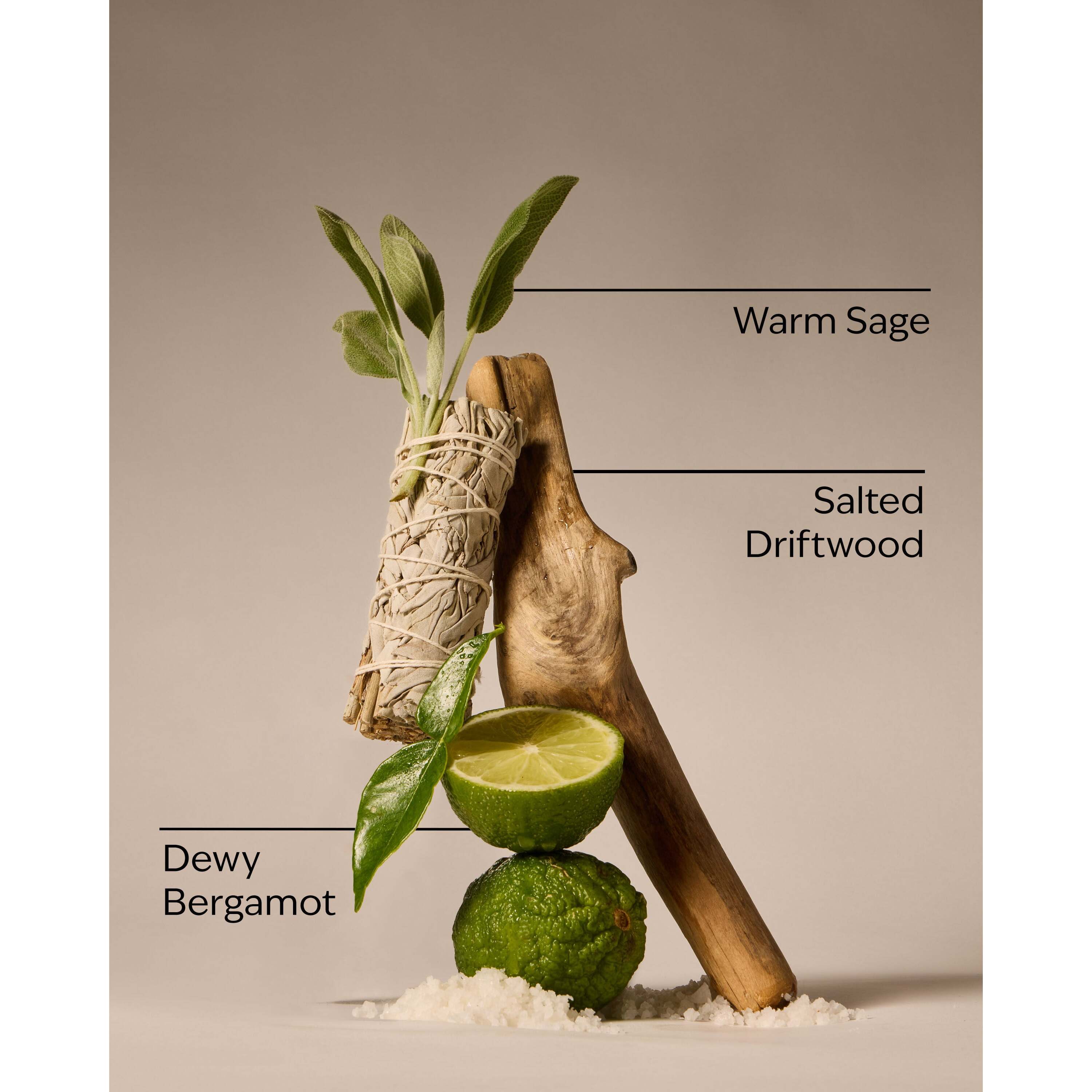 Salted Shorelines Ultimate Hydration Body Cream - Image 3