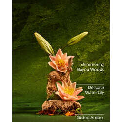 Belle Gentle & Clean Foaming Hand Soap - Image 52