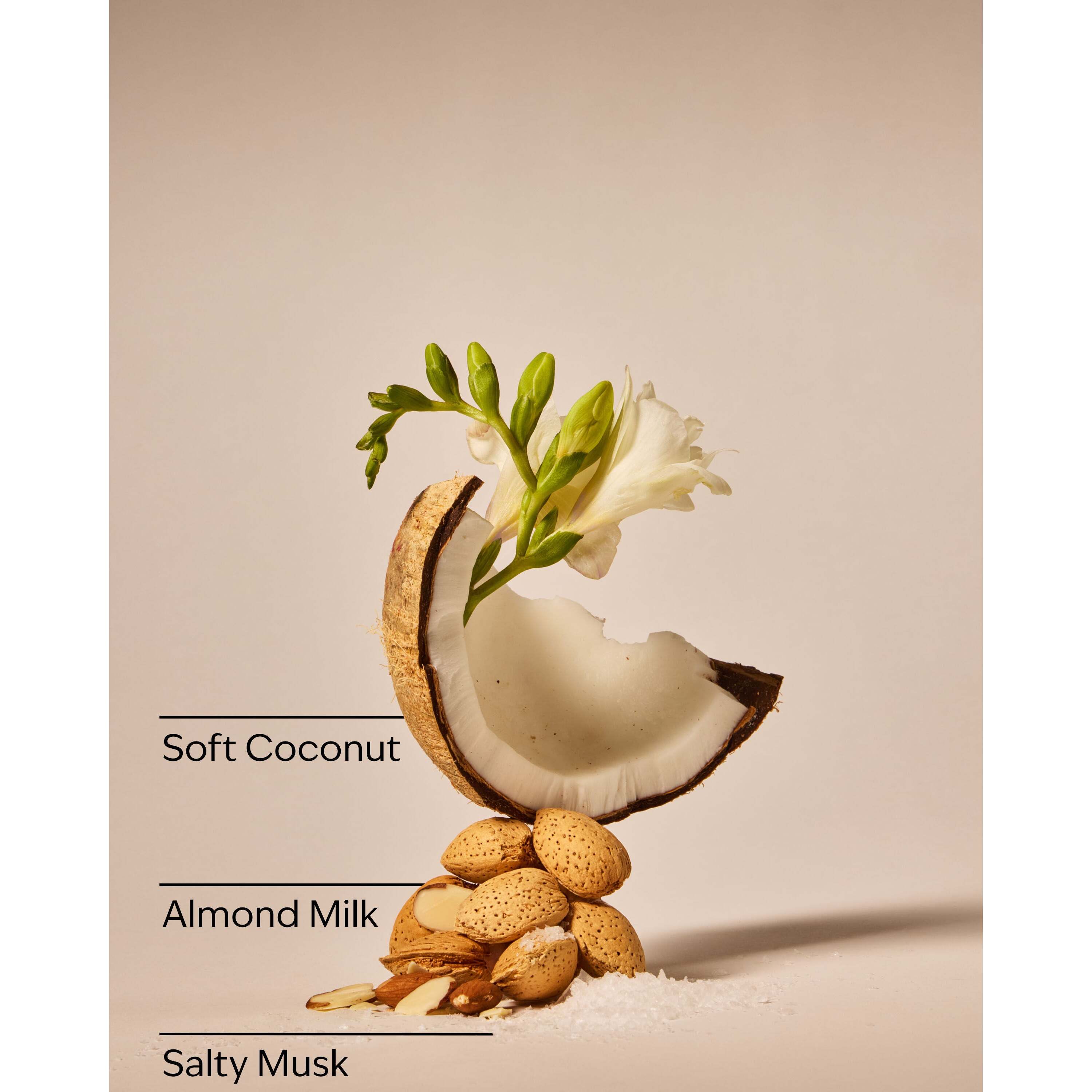 Coconut Linen Single Wick Candle - Image 3