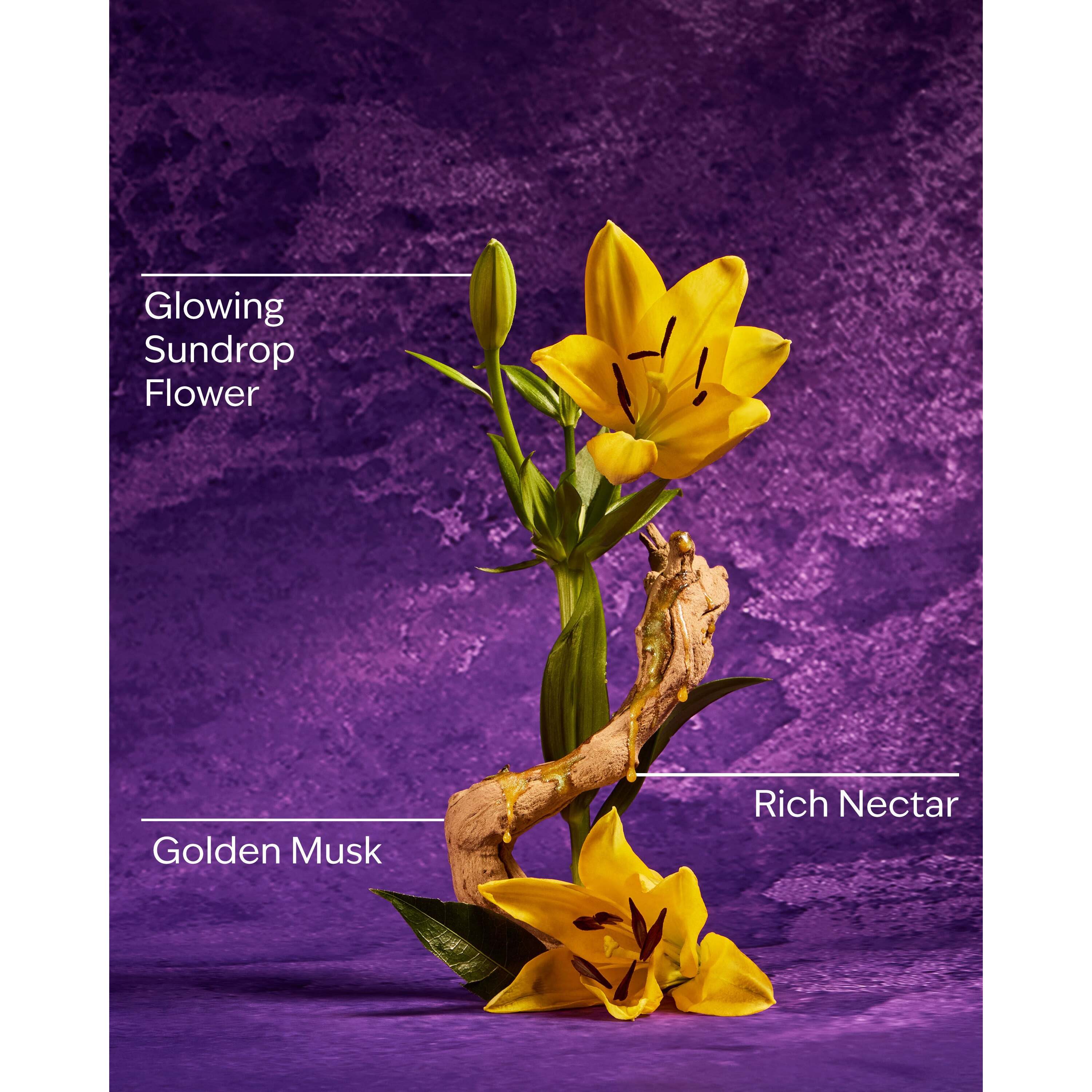 Rapunzel Fine Fragrance Mist - Image 3