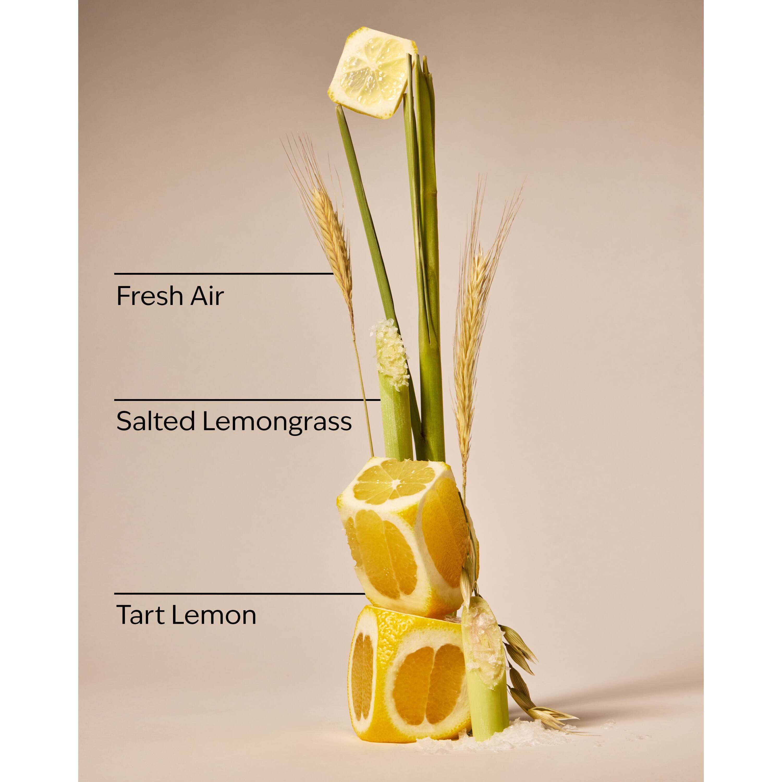 Laundry Room Lemon Gentle & Clean Foaming Hand Soap - Image 3