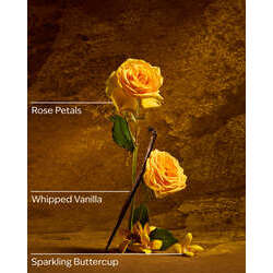 Belle Gentle & Clean Foaming Hand Soap - Image 17