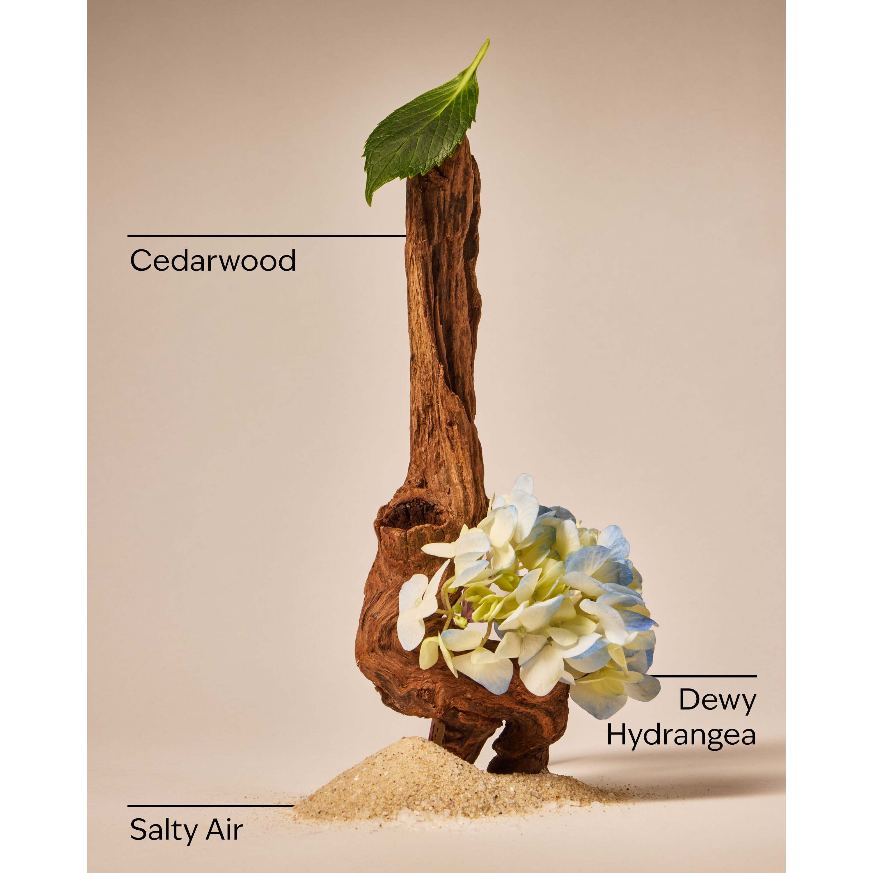 Shoreline Hydrangea 3-Wick Candle - Image 3