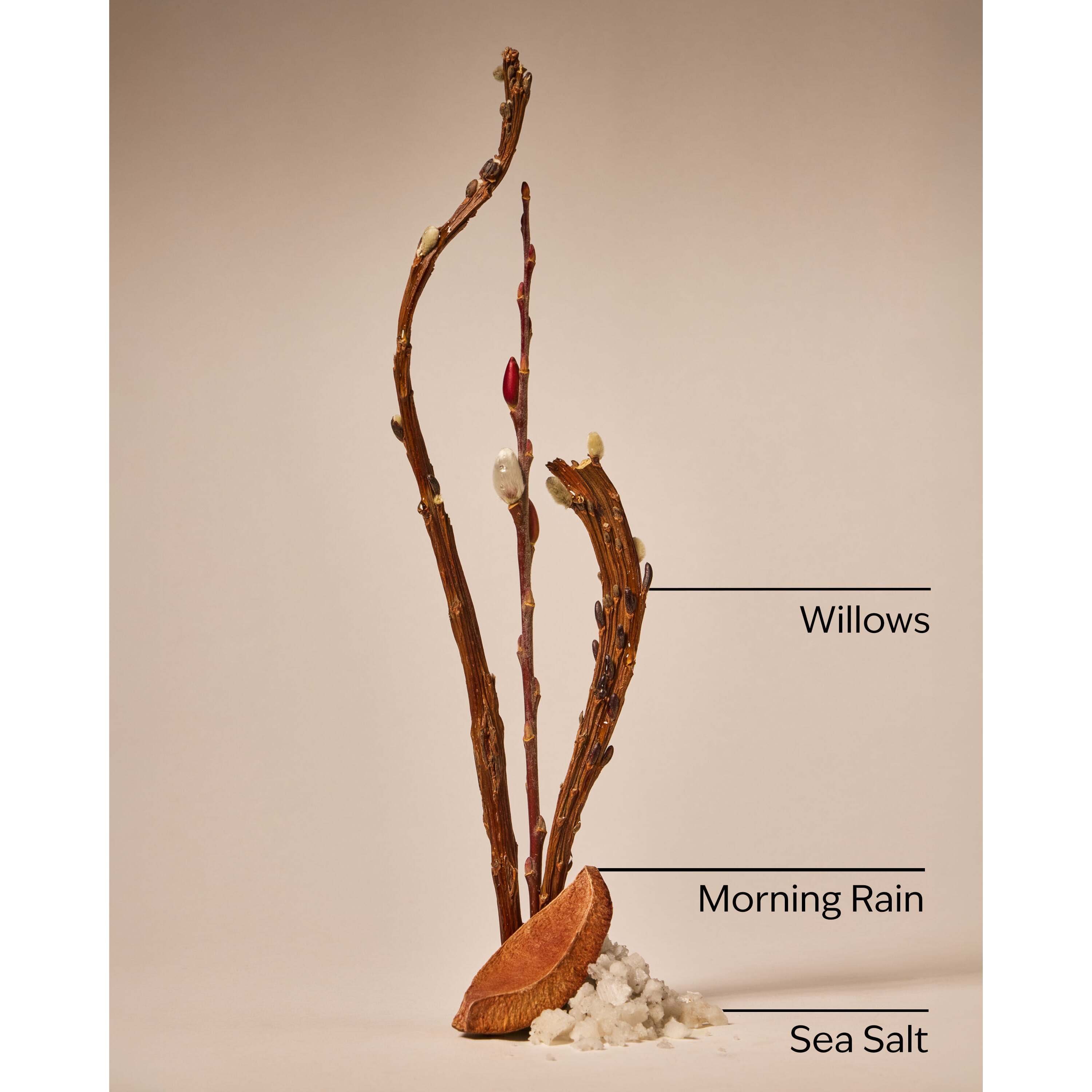 Rainfall Cleansing Gel Hand Soap - Image 3