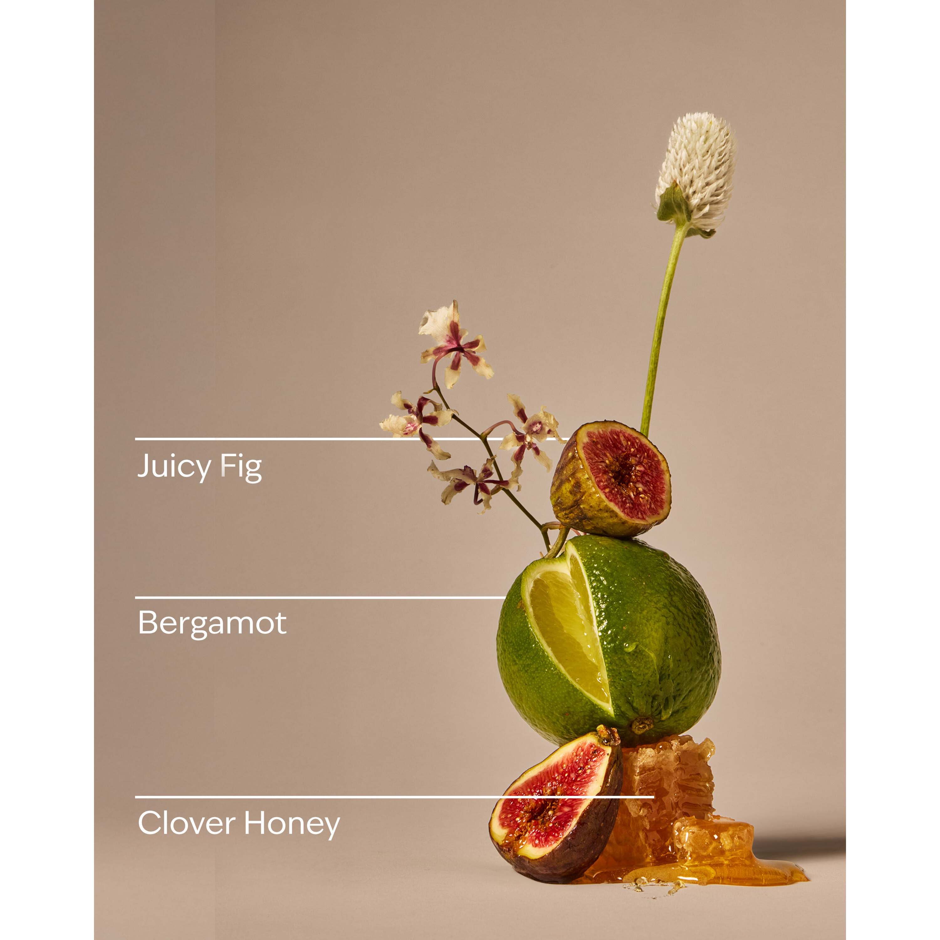 Wildflower Honey & Fig Cleansing Gel Hand Soap - Image 3