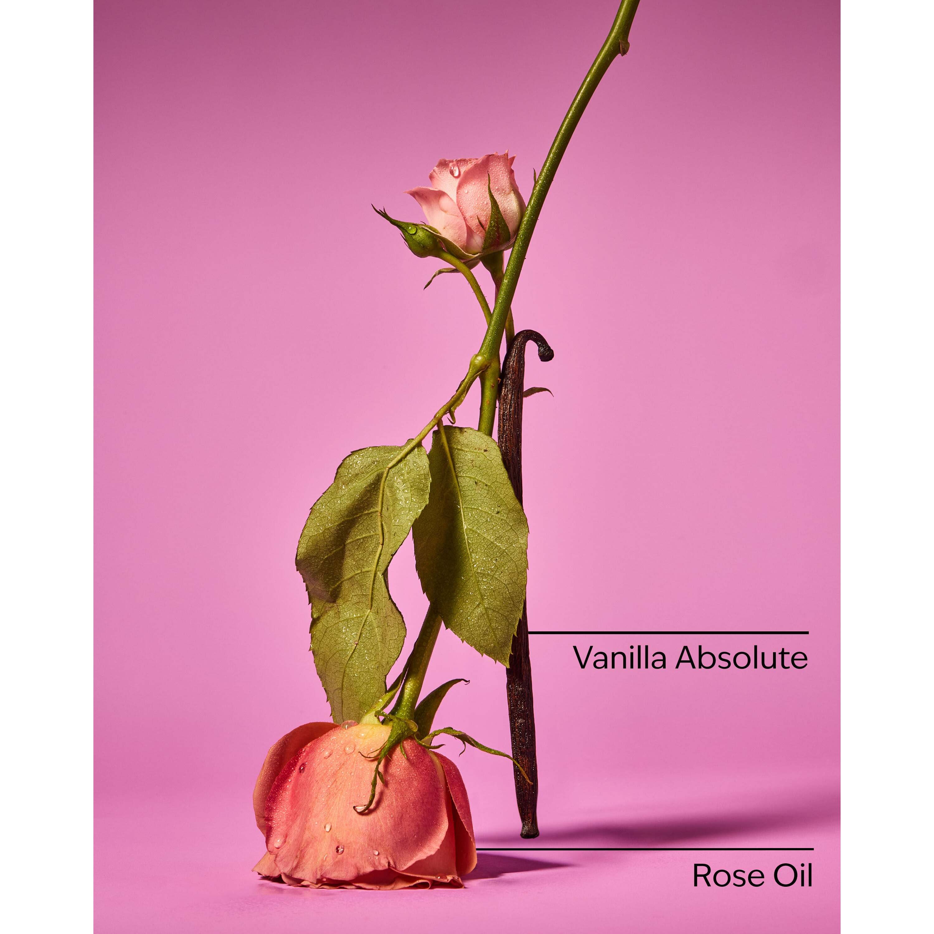 Rose Vanilla Essential Oil Mist - Image 3