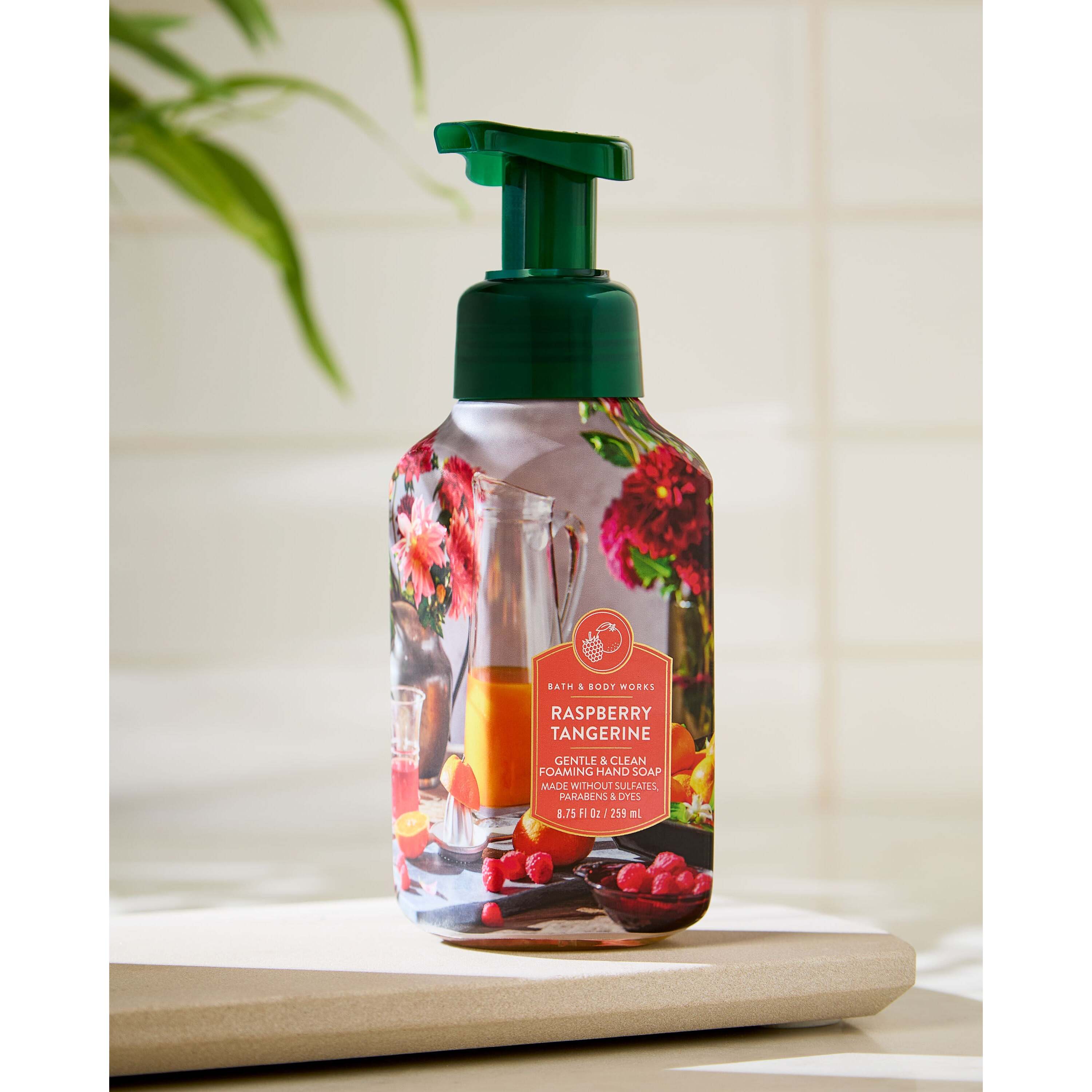 Raspberry Tangerine Gentle & Clean Foaming Hand Soap - Image 6